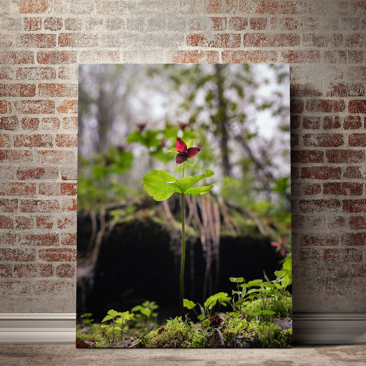 Exquisite Simple Scene Wall Art by Shaun Mayer