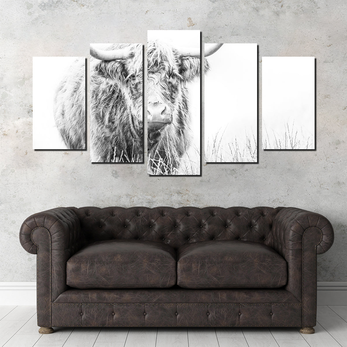 Stunning Highland Cow Wall Art on White Canvas