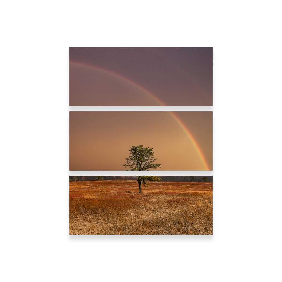 Stunning Big Meadows Wall Art by Dennis Maida