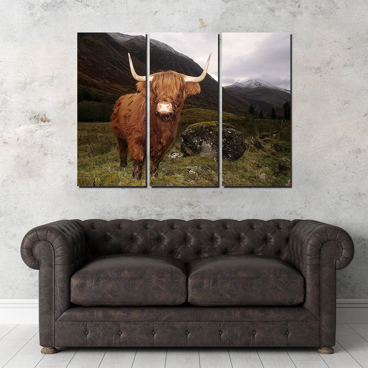 Stunning Highland Cow in Glen Coe Wall Art for Home Decor
