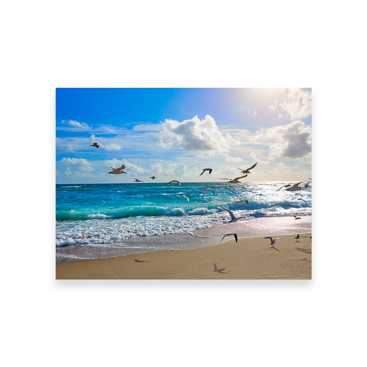 Stunning Singer Island Beach Seagulls Wall Art by Studiodtalk