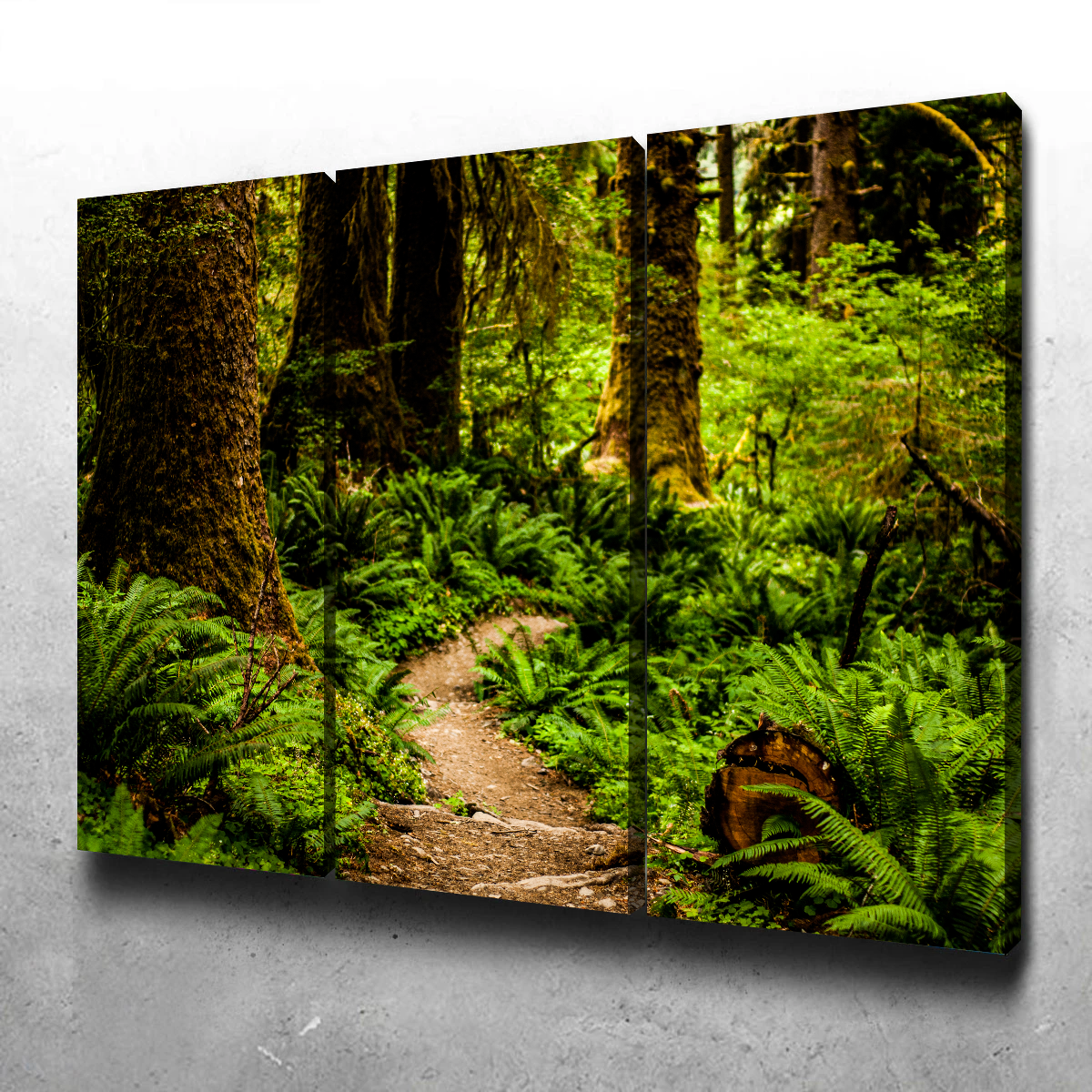 Stunning Hoh Rainforest Wall Art by Kyle Sherry