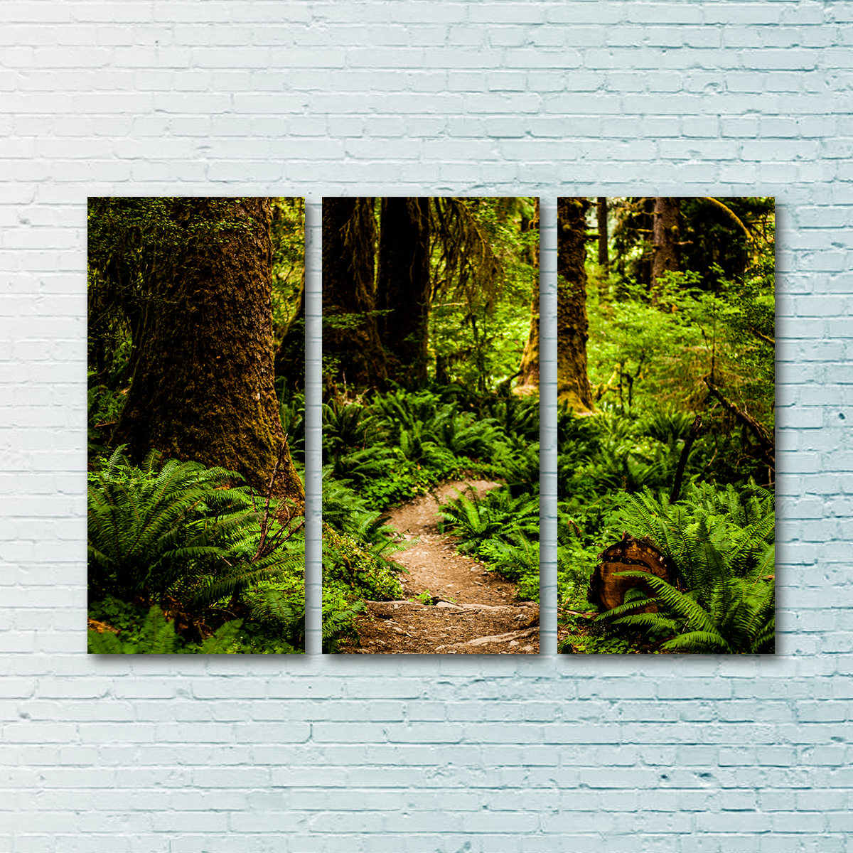 Stunning Hoh Rainforest Wall Art by Kyle Sherry