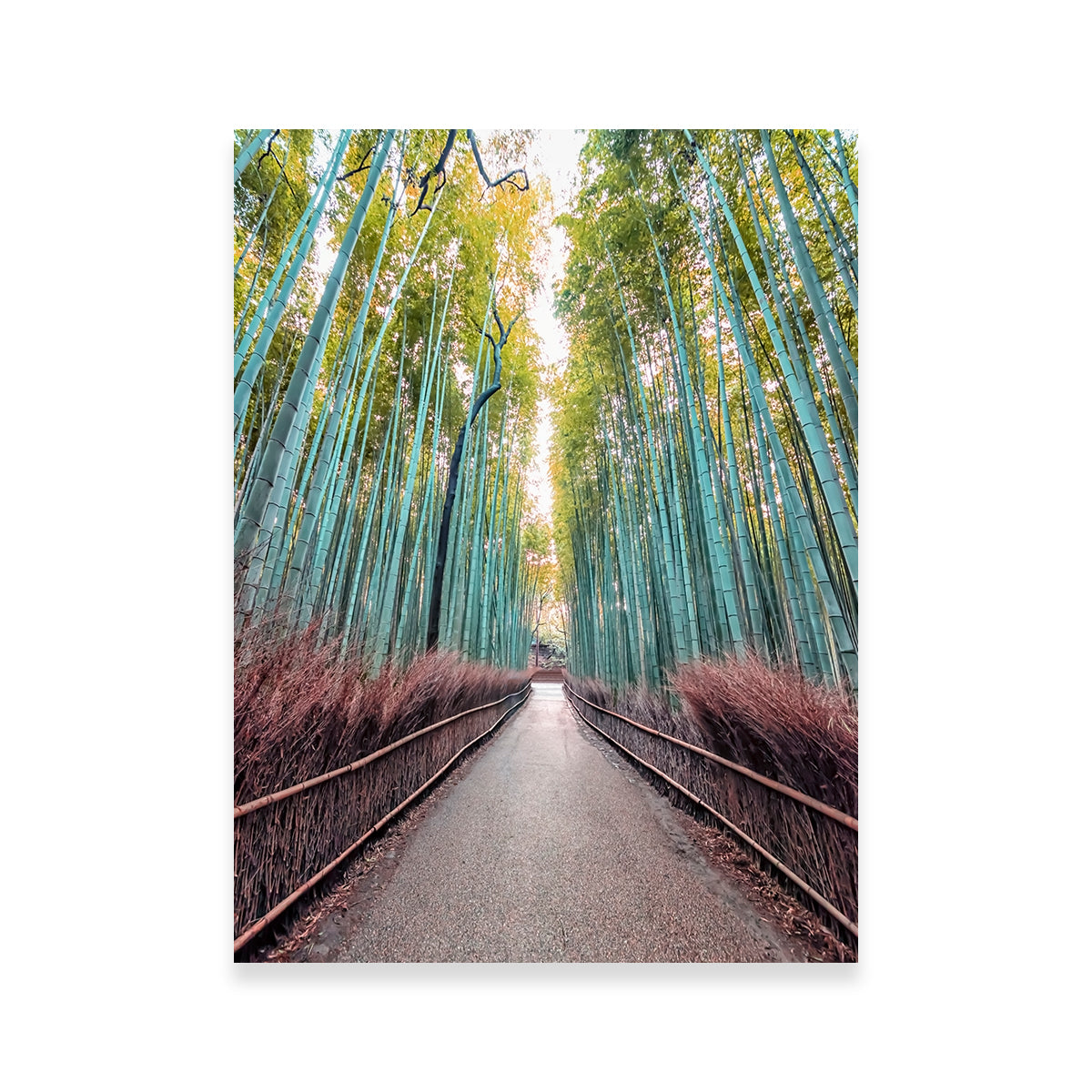 Exquisite Bamboo Alley Wall Art by Manjik Pictures