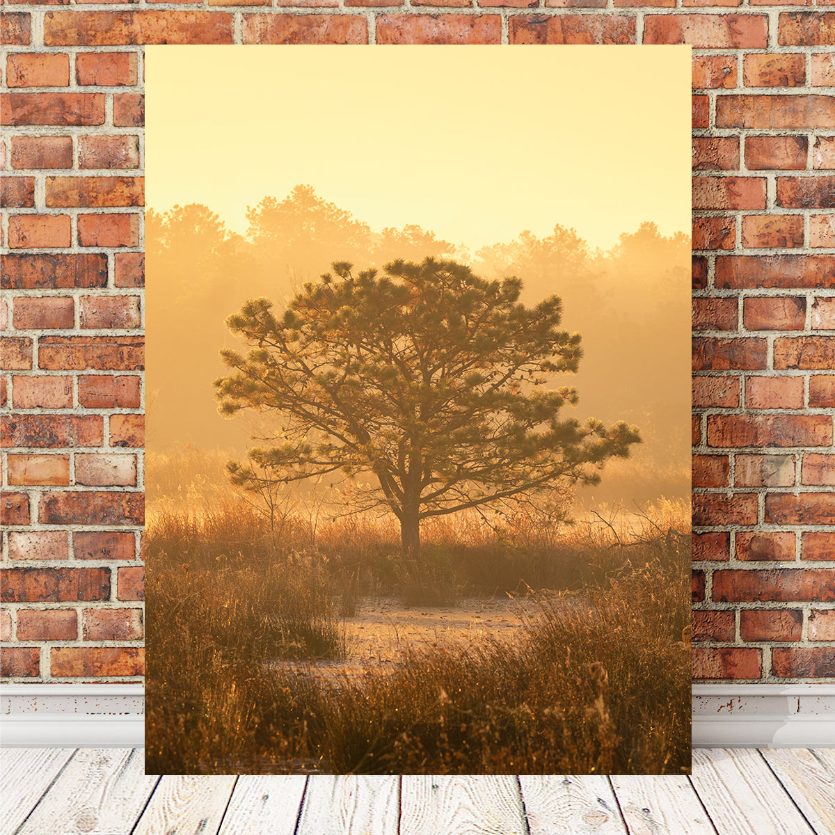 Stunning Serengeti Wall Art by Shaun Mayer