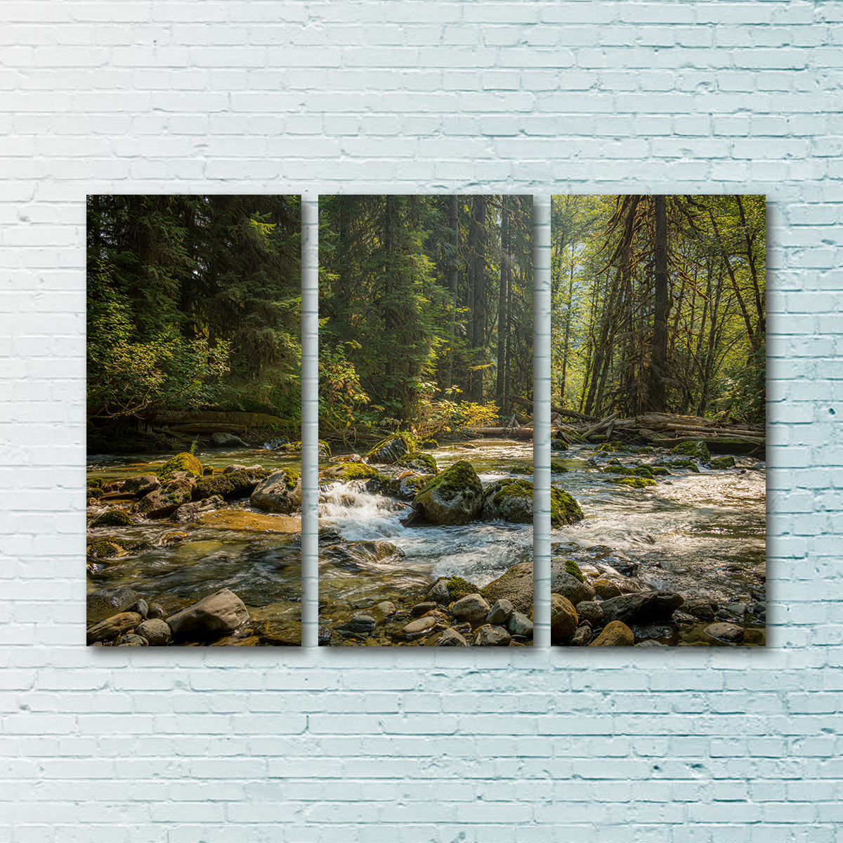 Stunning Cascade River Wall Art by Kyle Sherry