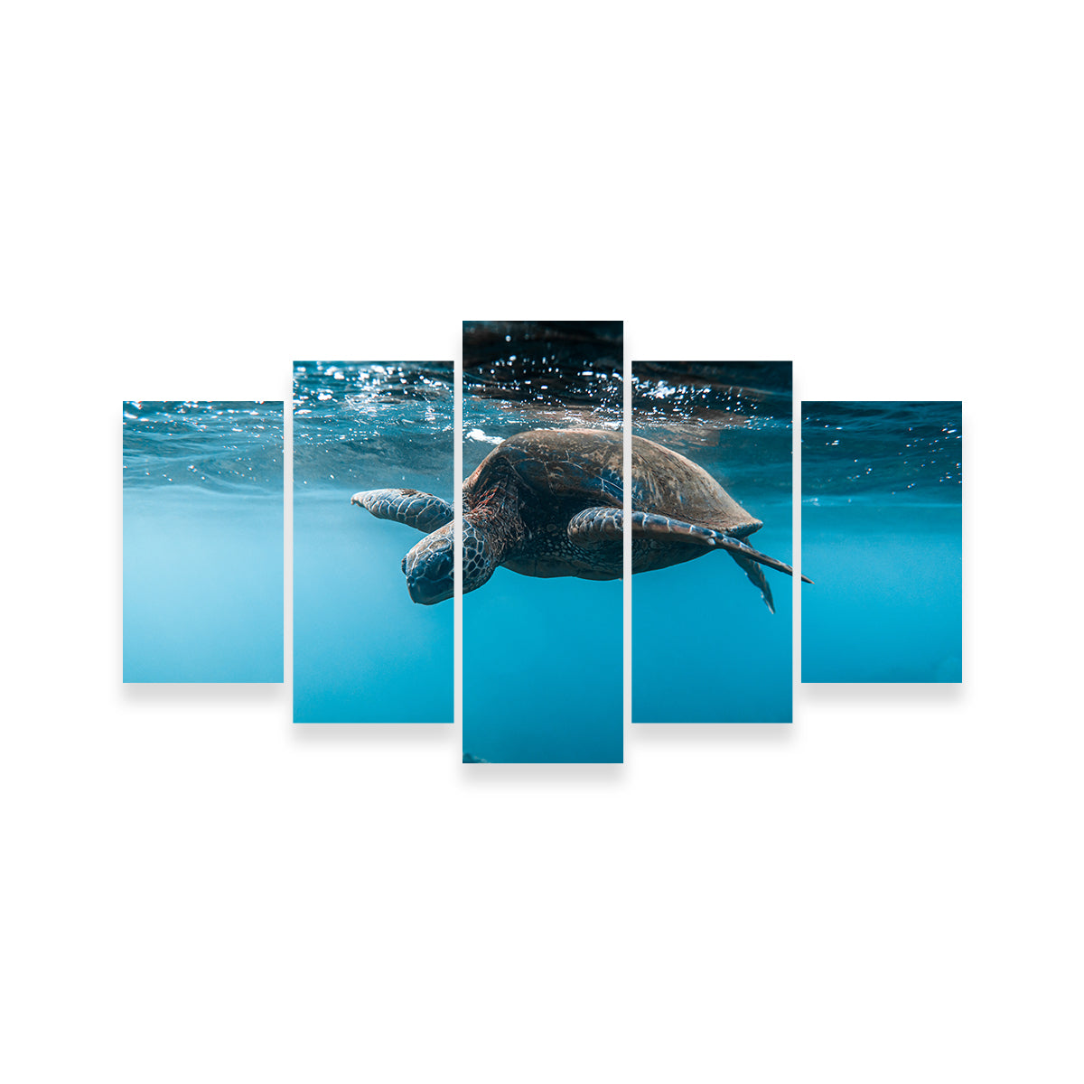 Exquisite Below the Surface Wall Art by Lucas Moore