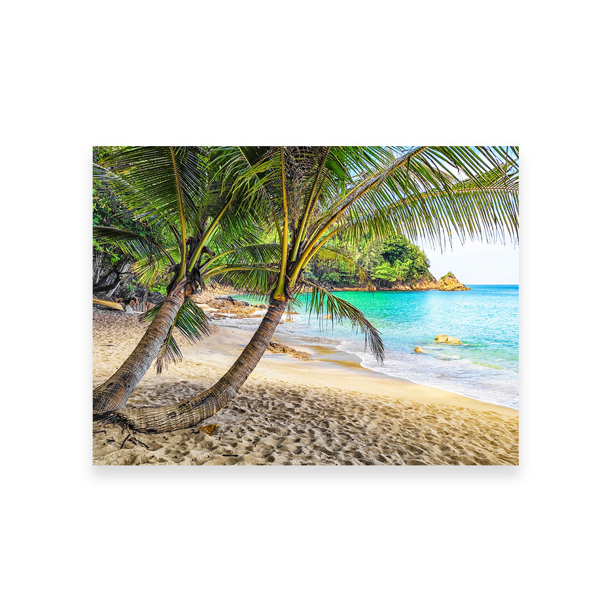 Exquisite Banana Beach Wall Art by Manjik Pictures