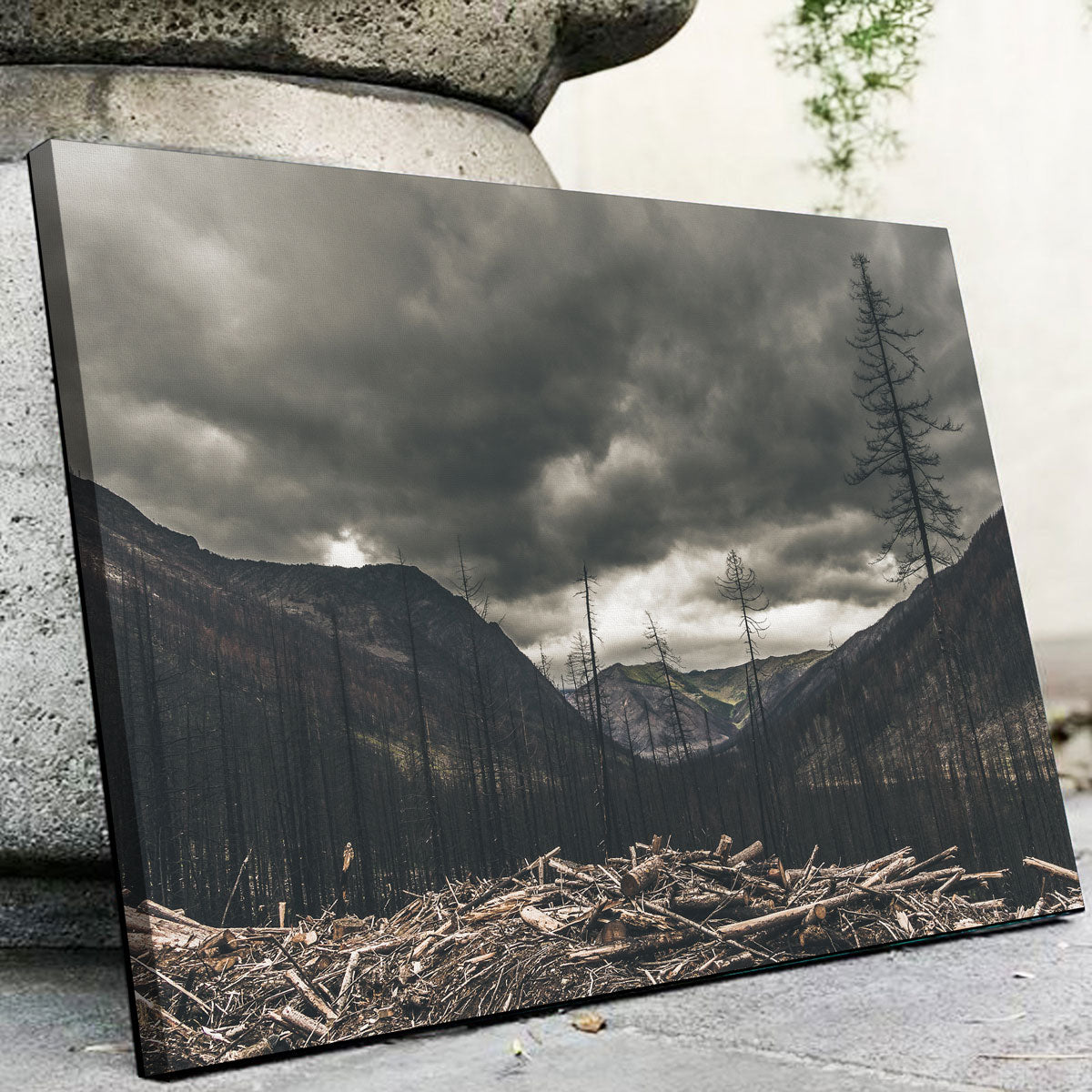 Stunning Ash and Clouds Wall Art by Mike Cotton
