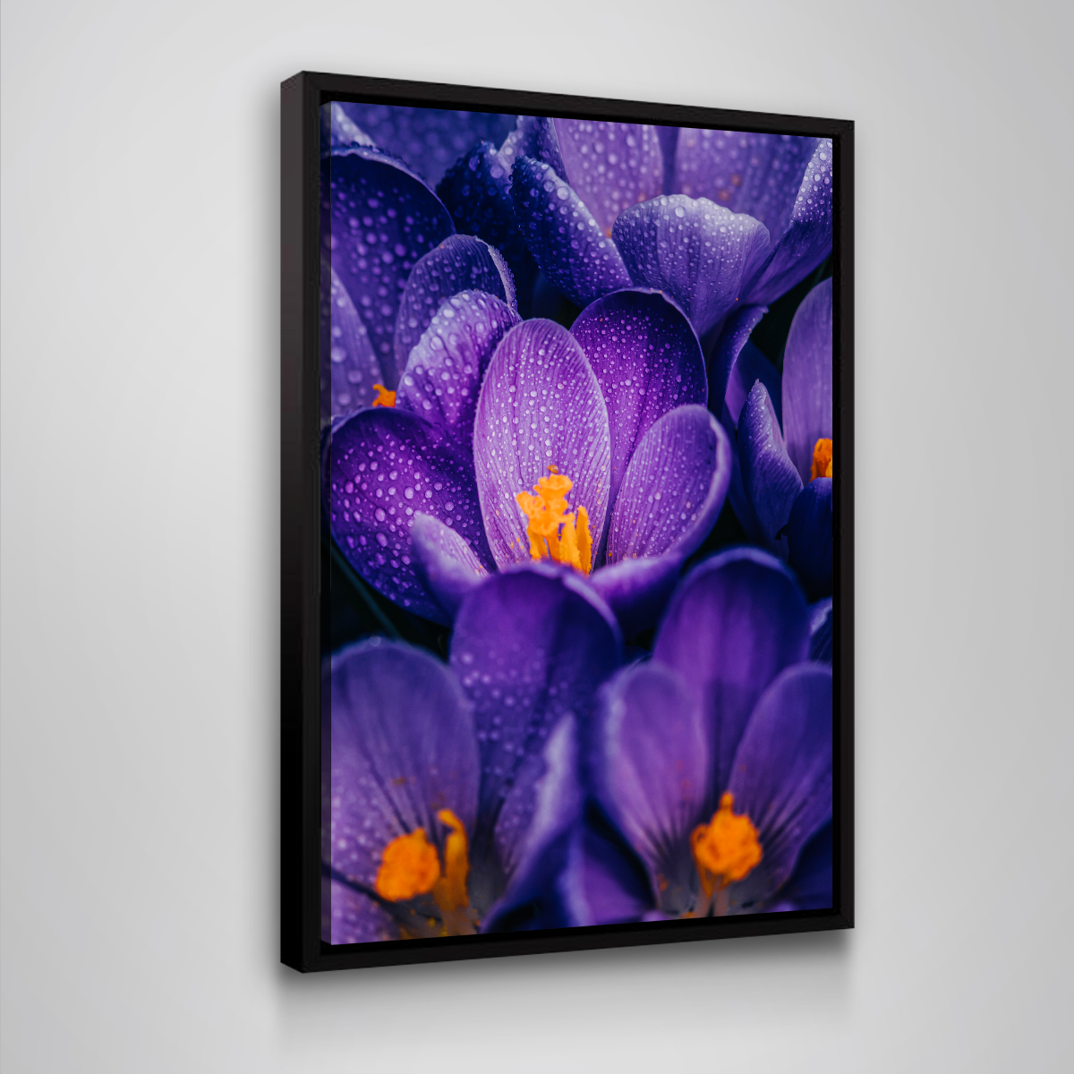 Gorgeous Purple Pollen Wall Art by Manuel Luces