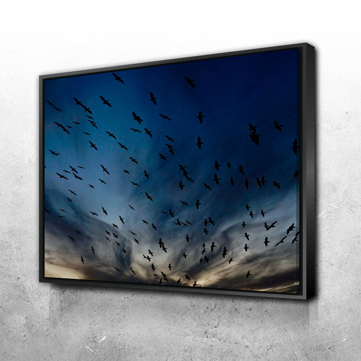 Stunning Pelican Migration Louisiana Wall Art by David Campbell