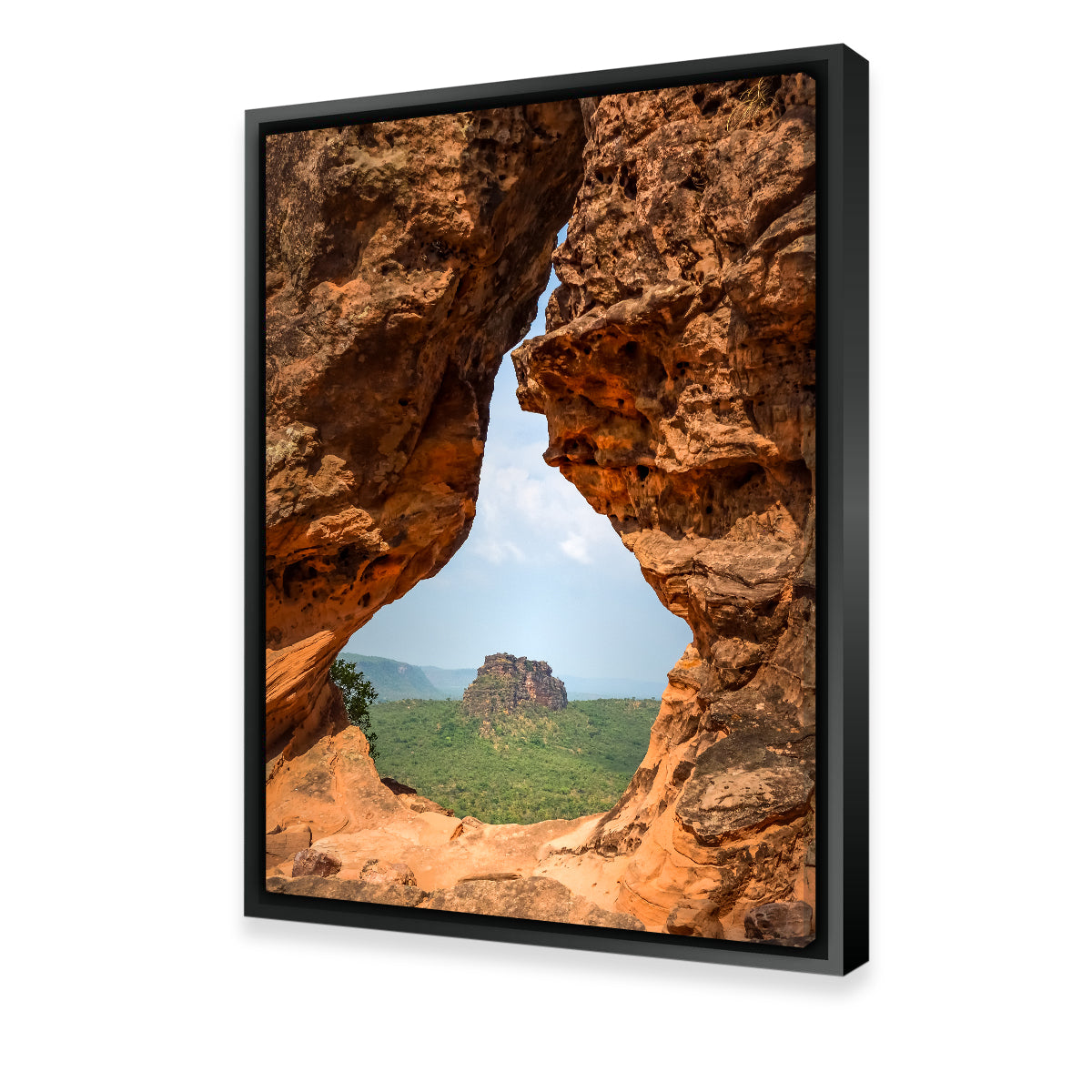 Exquisite Portal to Cerrado Wall Art by Sofia Leite Fonseca