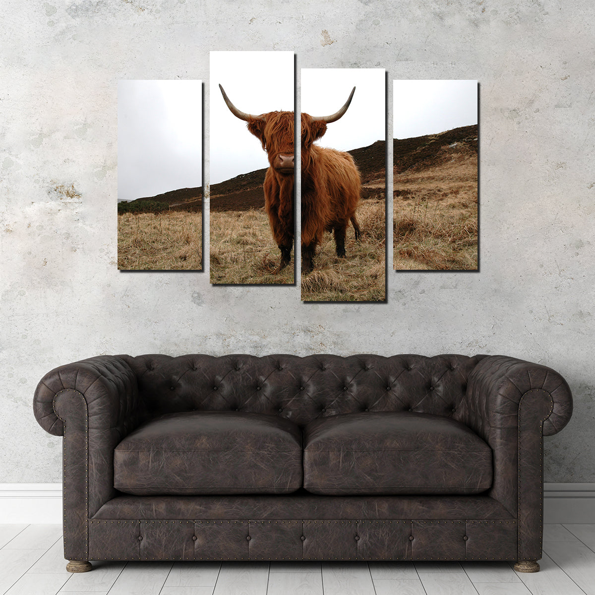 Gorgeous Highland Cow Wall Art Inspired by Northern Scotland