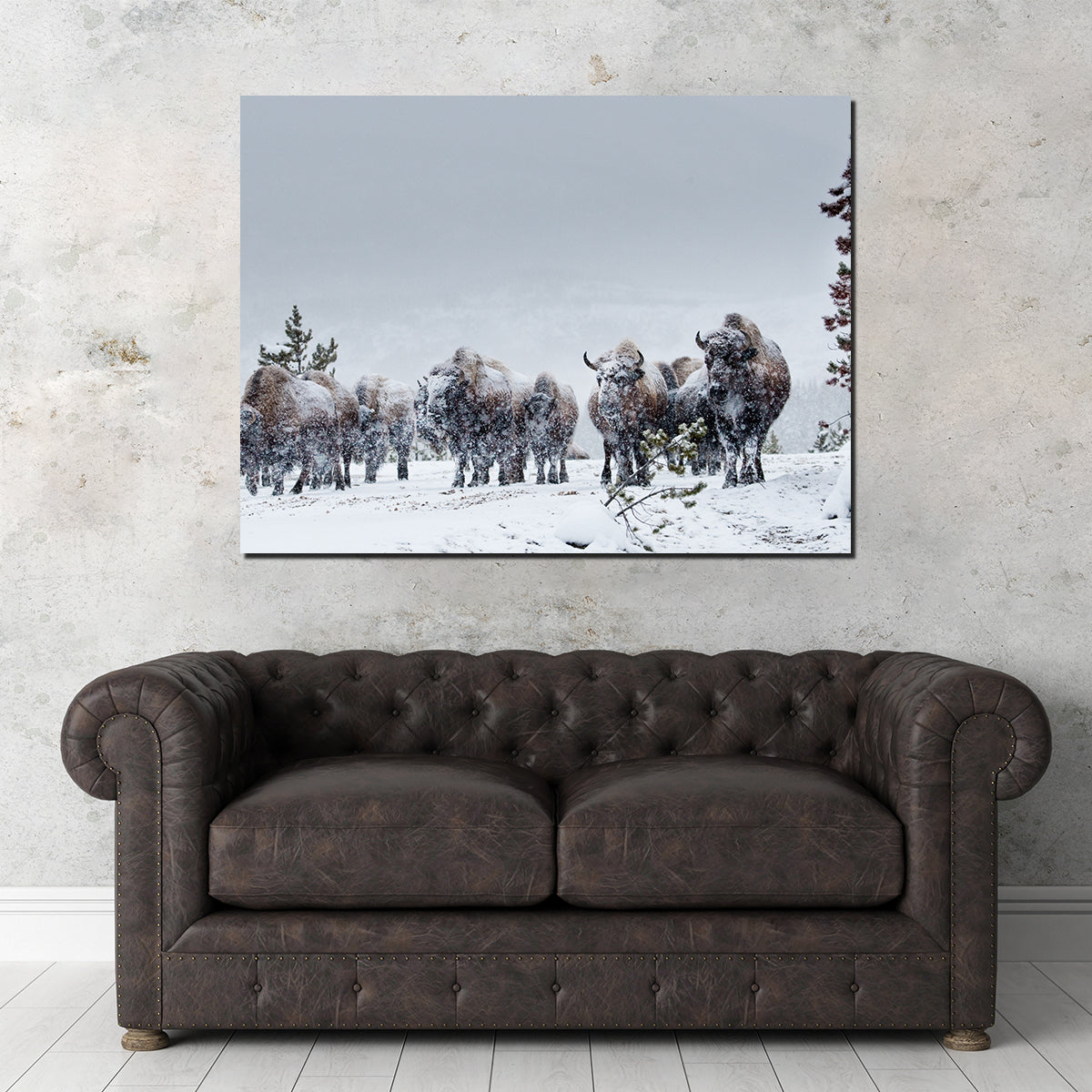 Stunning American Bison in Winter Snow Wall Art for Your Home Decor