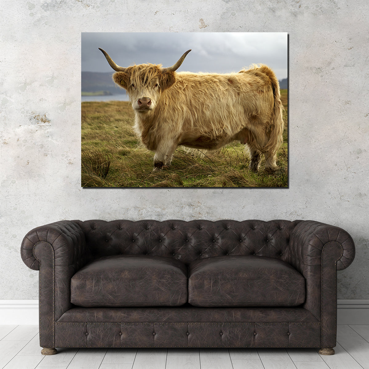 Charming Highland Cow Countryside Wall Art for Stunning Home Decor