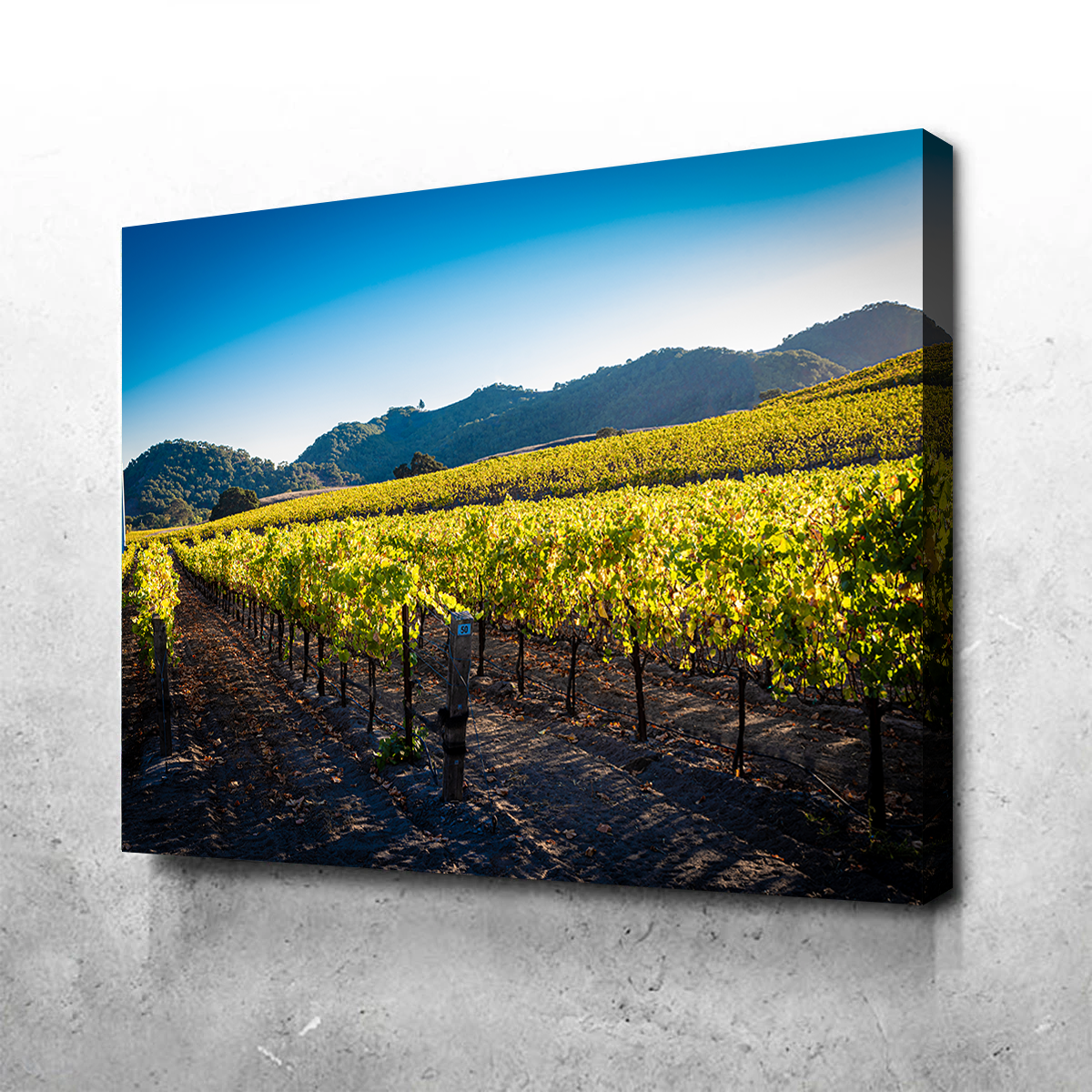 Stunning Central California Vineyard Wall Art for Your Home Decor