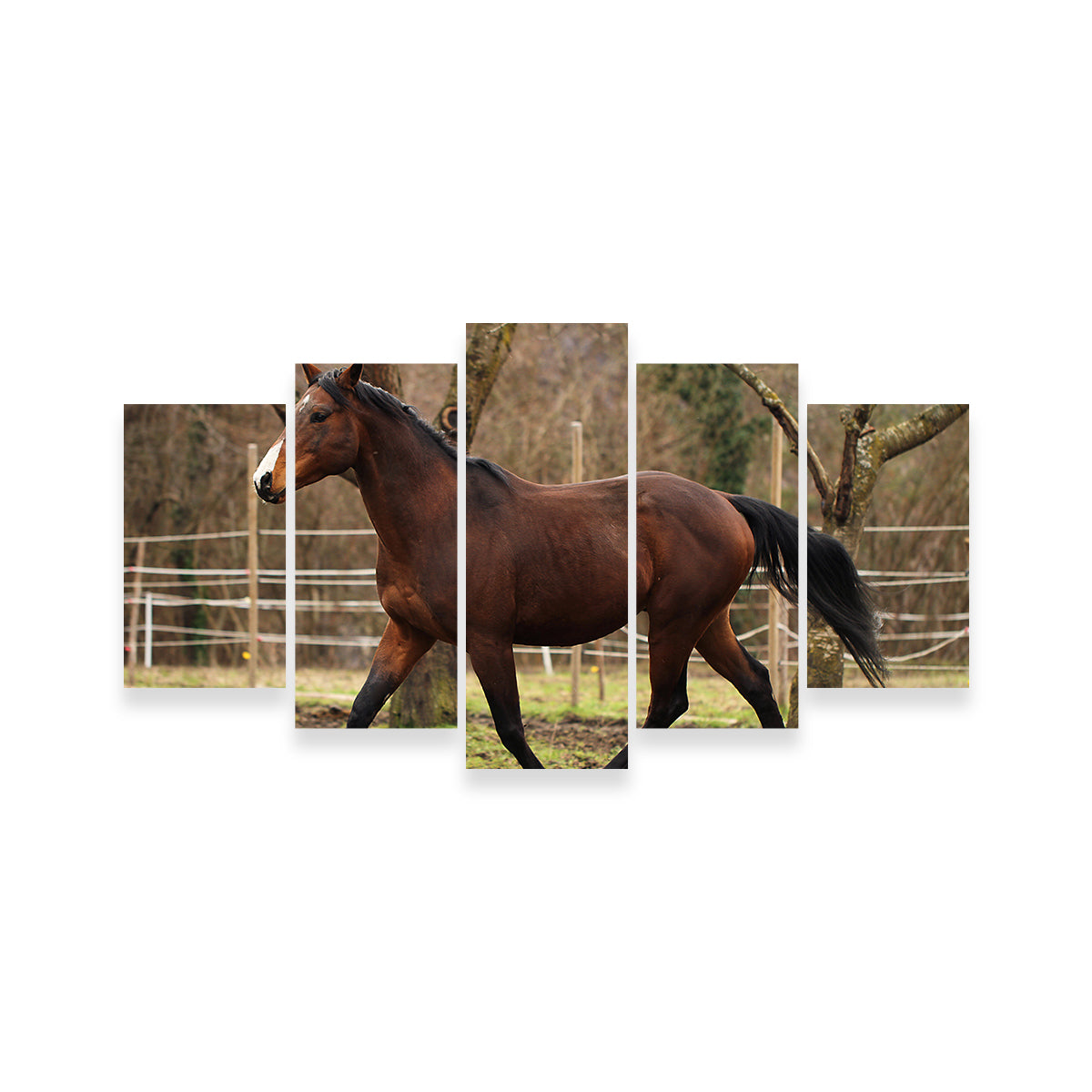 Exquisite American Quarter Horse Stallion Wall Art for Your Home Decor