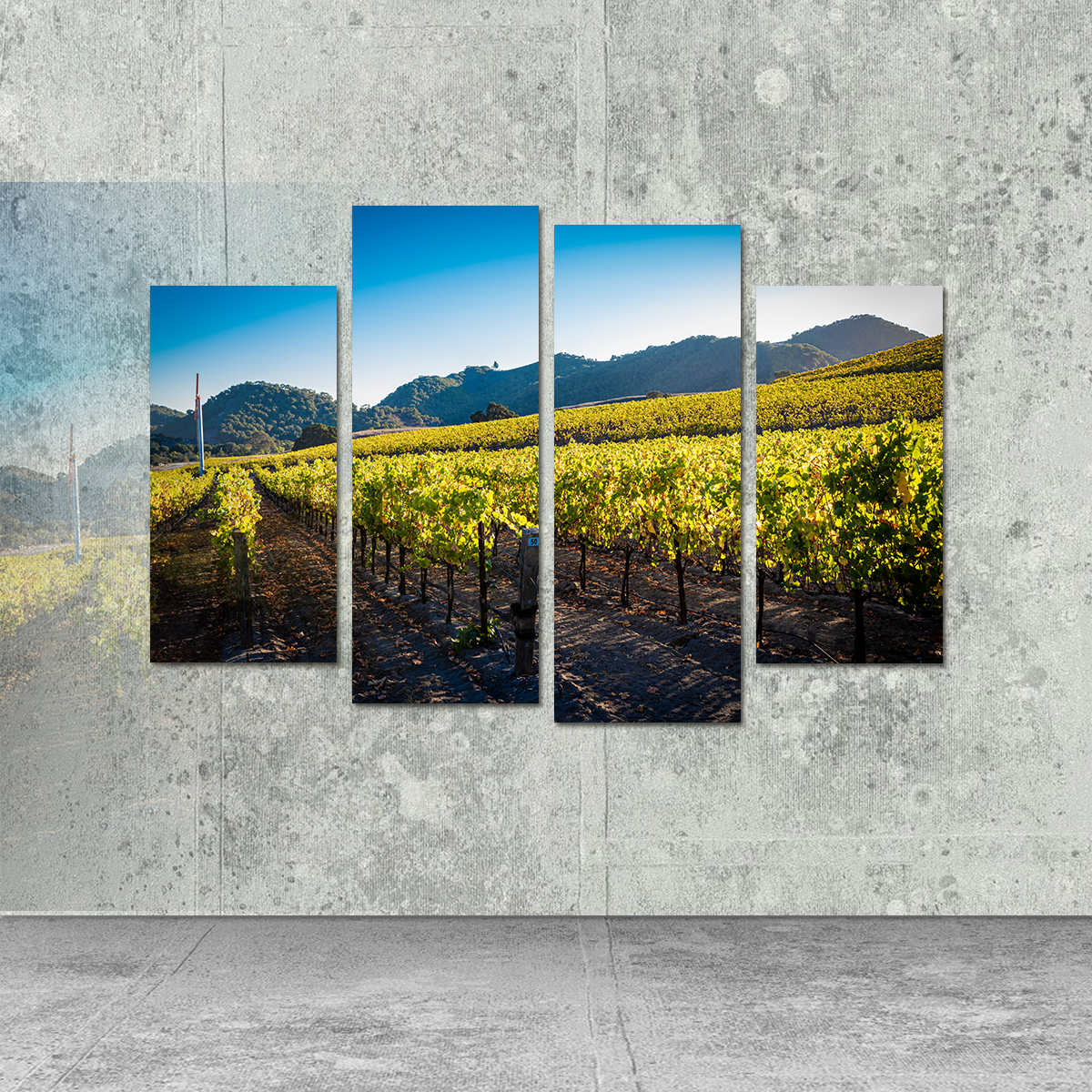 Stunning Central California Vineyard Wall Art for Your Home Decor