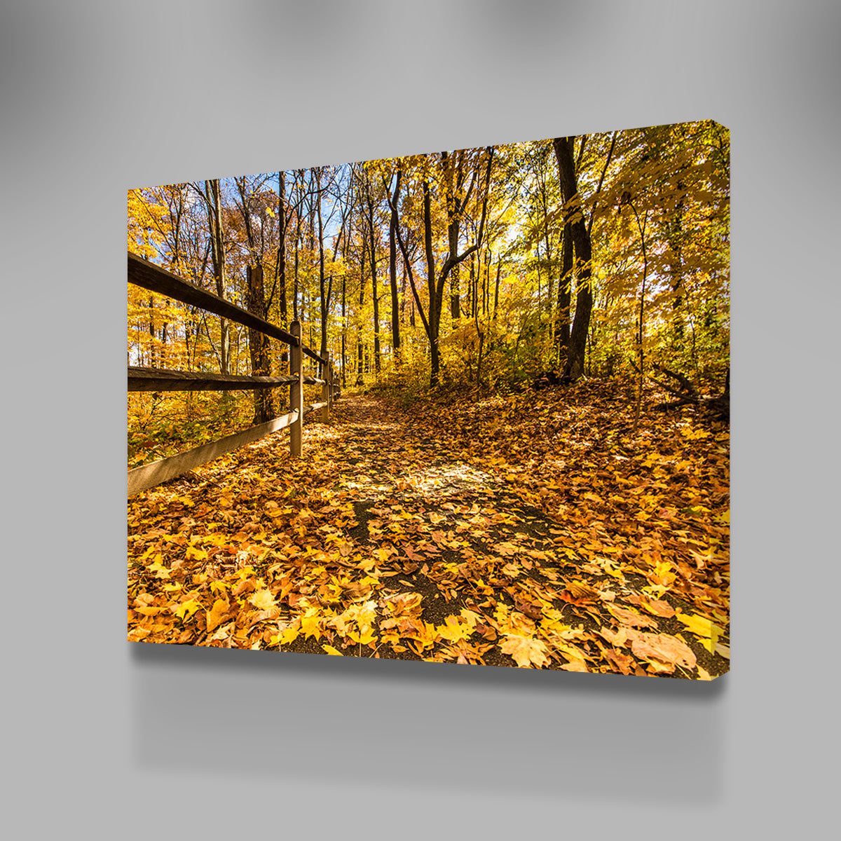 Breathtaking Caesar Creek State Park Fall Foliage Wall Art for Stunning Home Decor