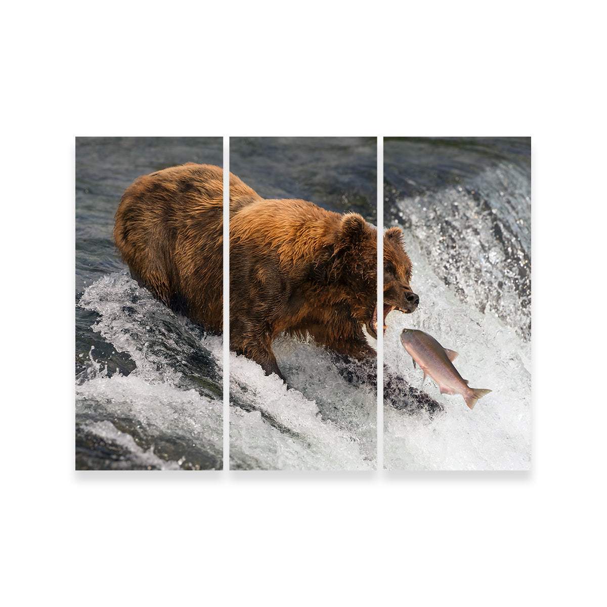 Exquisite Bear Catching Salmon Wall Art for Stunning Home Decor