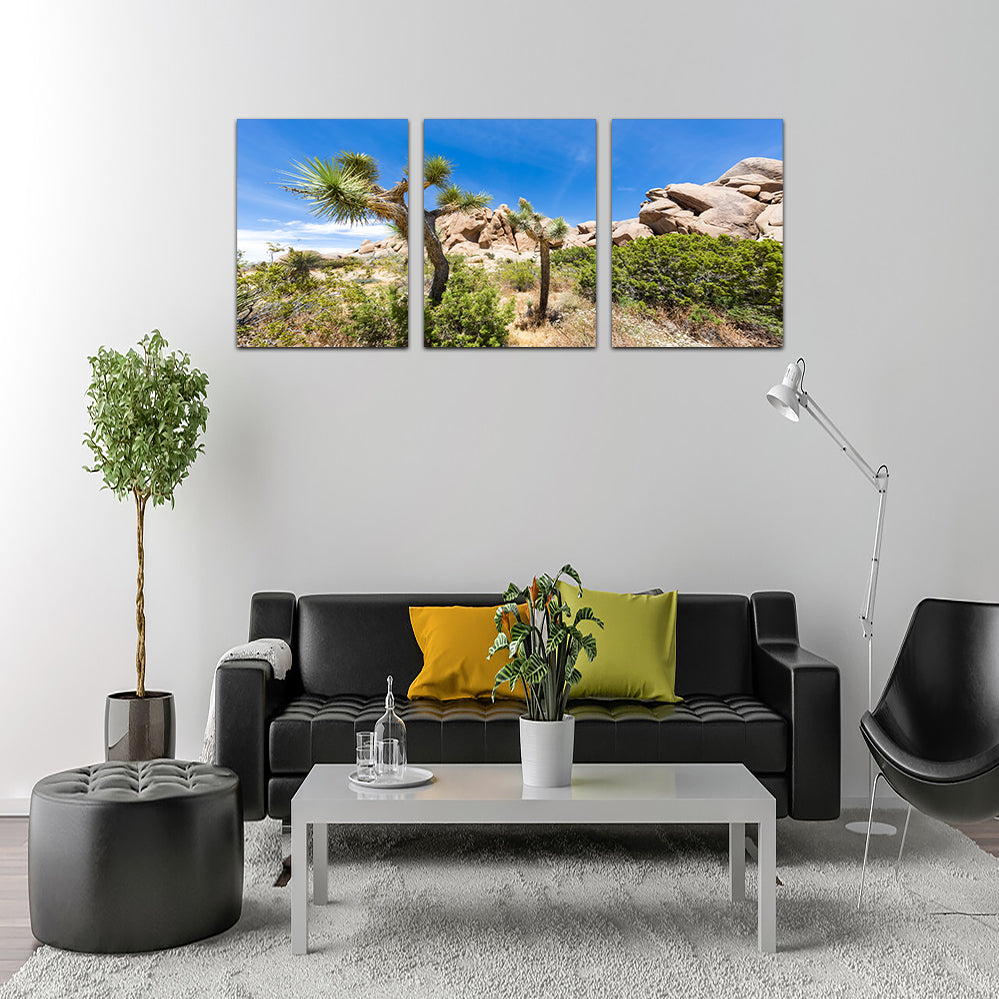 Stunning Impression from Joshua Tree National Park Wall Art for Your Home Decor