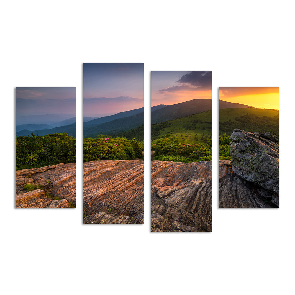 Stunning Appalachian Trail Roan Mountain State Park Wall Art for Your Home Decor