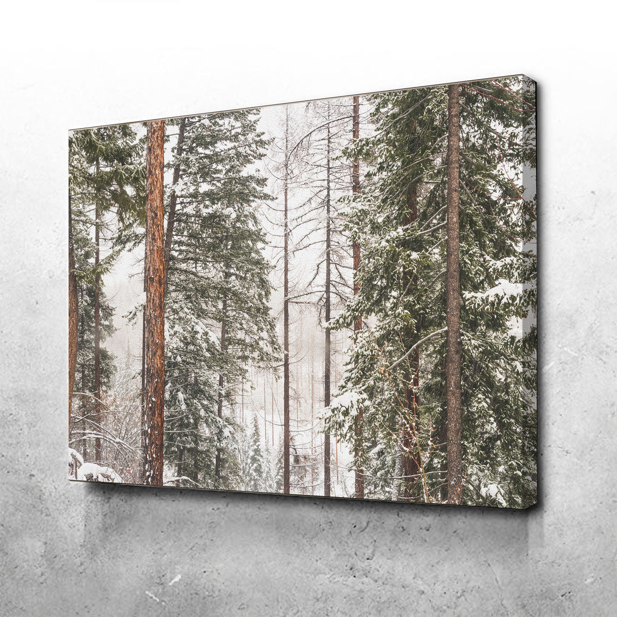 Stunning Snow in Lois Creek Wall Art by Mike Cotton