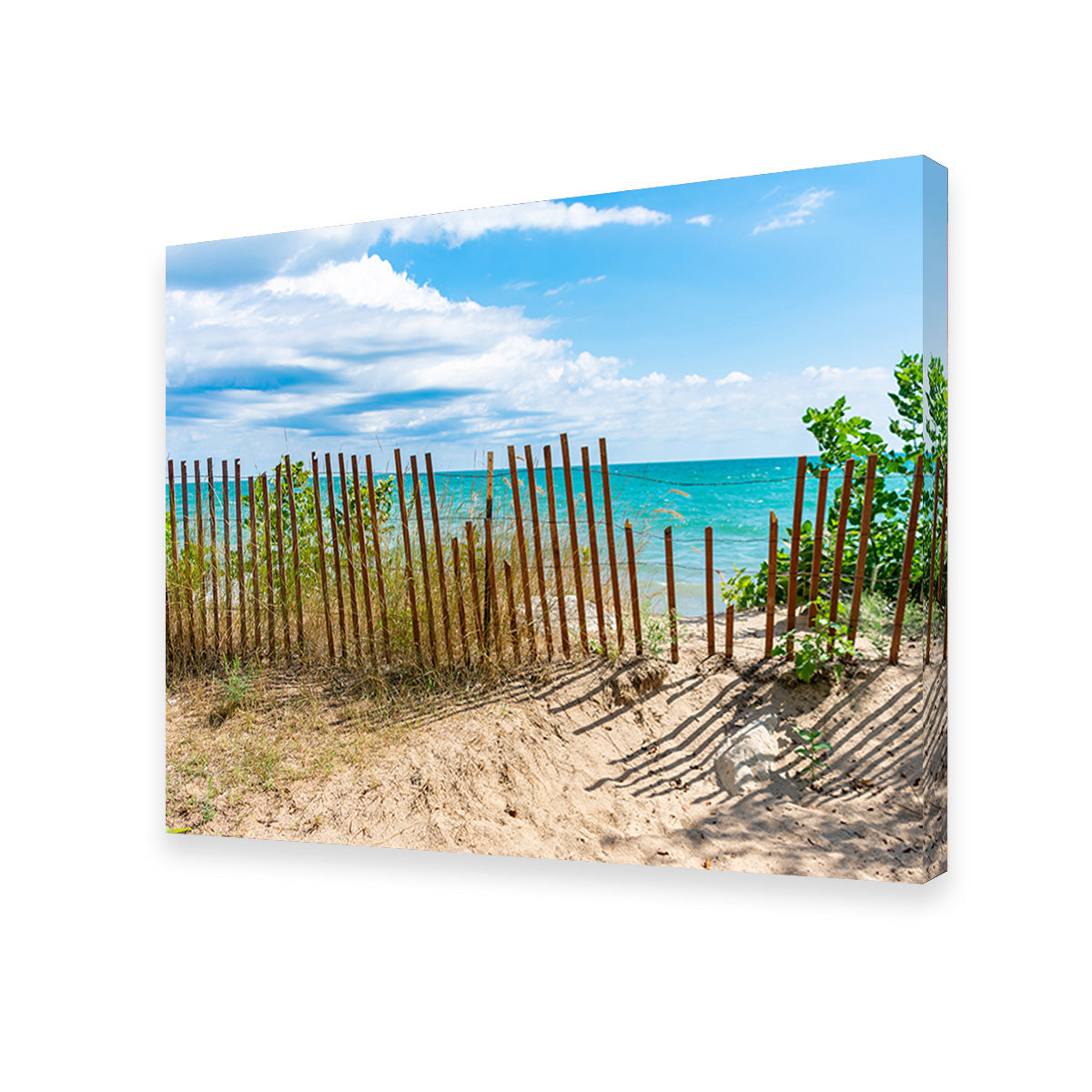 Stunning Shoreline with Fence in Evanston Wall Art for Your Home Decor