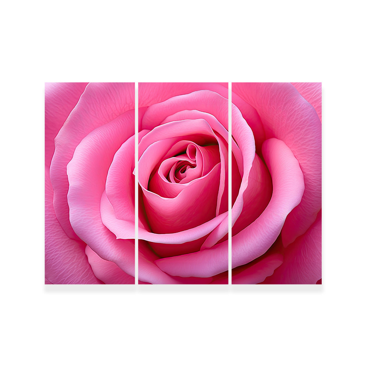 Gorgeous Pink Rose Canvas Print