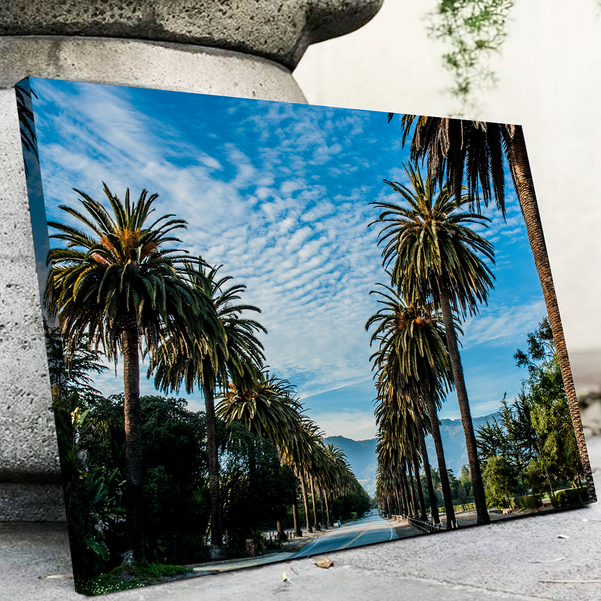 Hope Ranch Palm Drive Exquisite Wall Art by Kyle Sherry