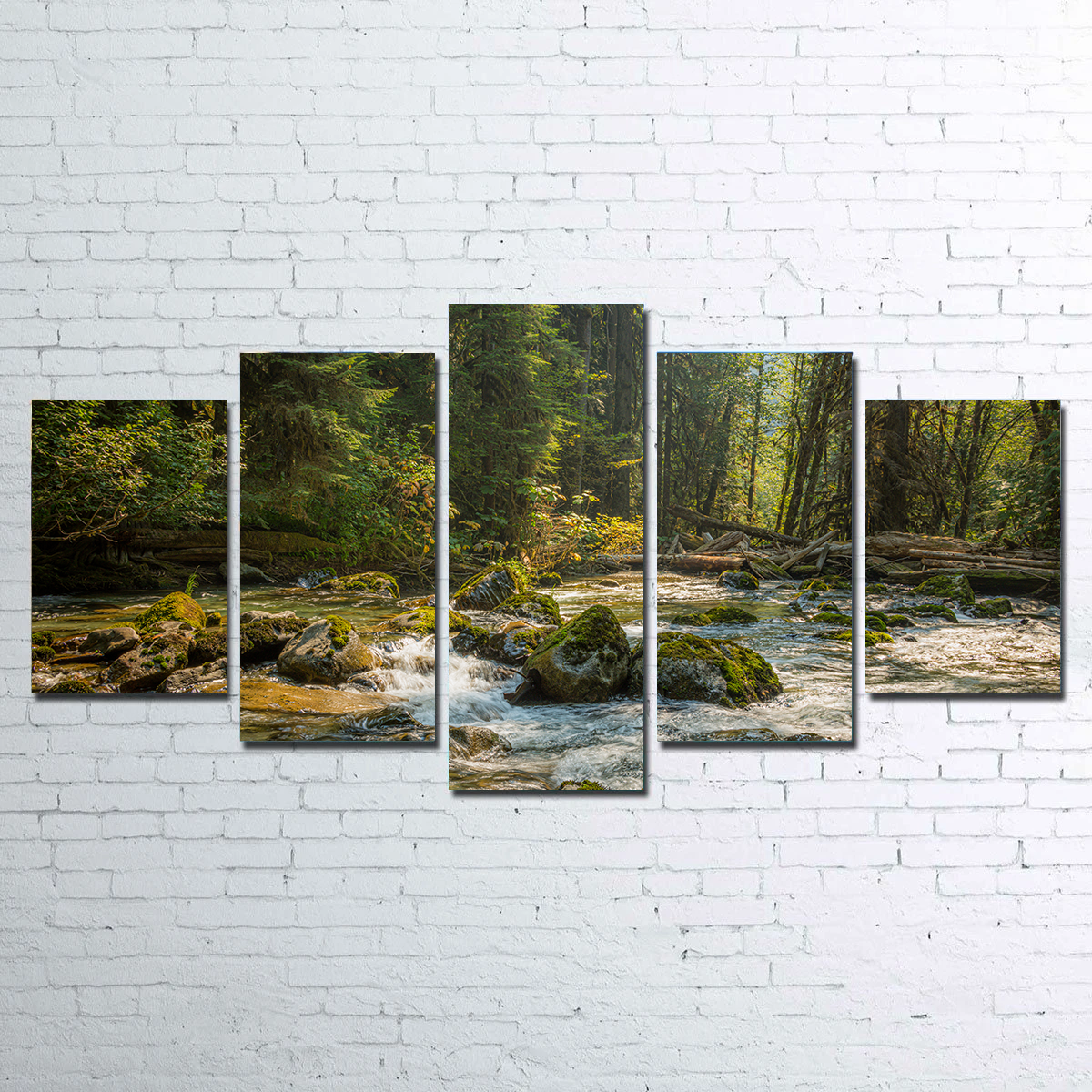 Stunning Cascade River Wall Art by Kyle Sherry