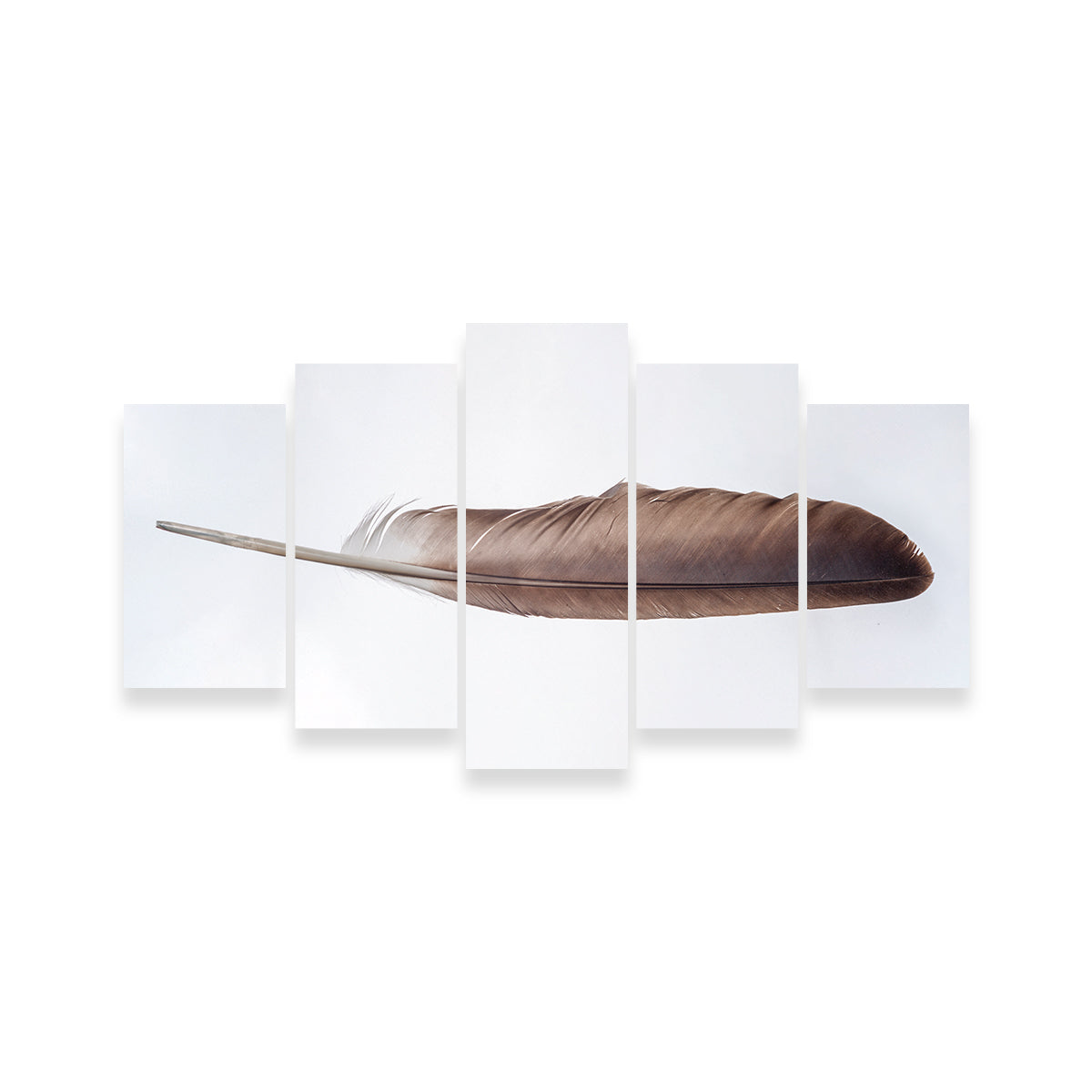 Stunning Bald Eagle Feather Wall Art for Your Home Decor