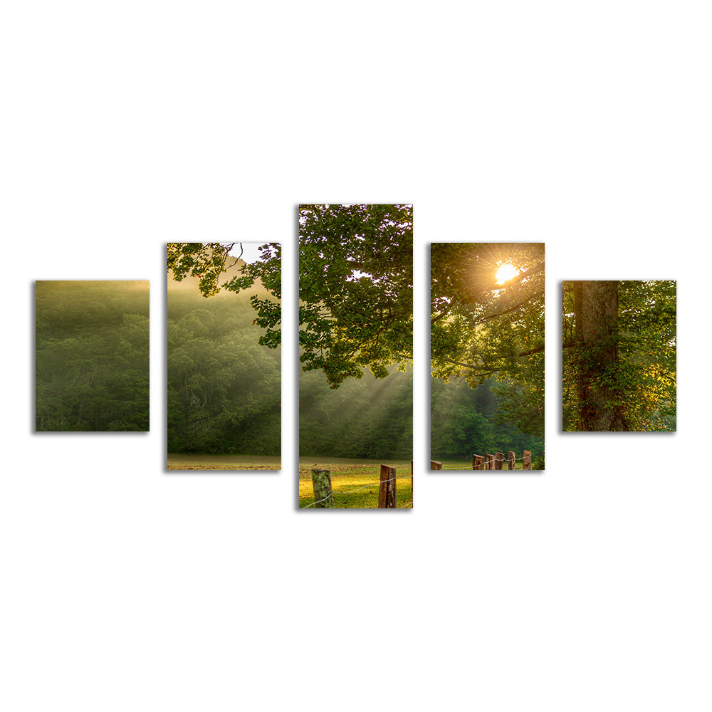 Stunning Cades Cove Wall Art for Home Decor