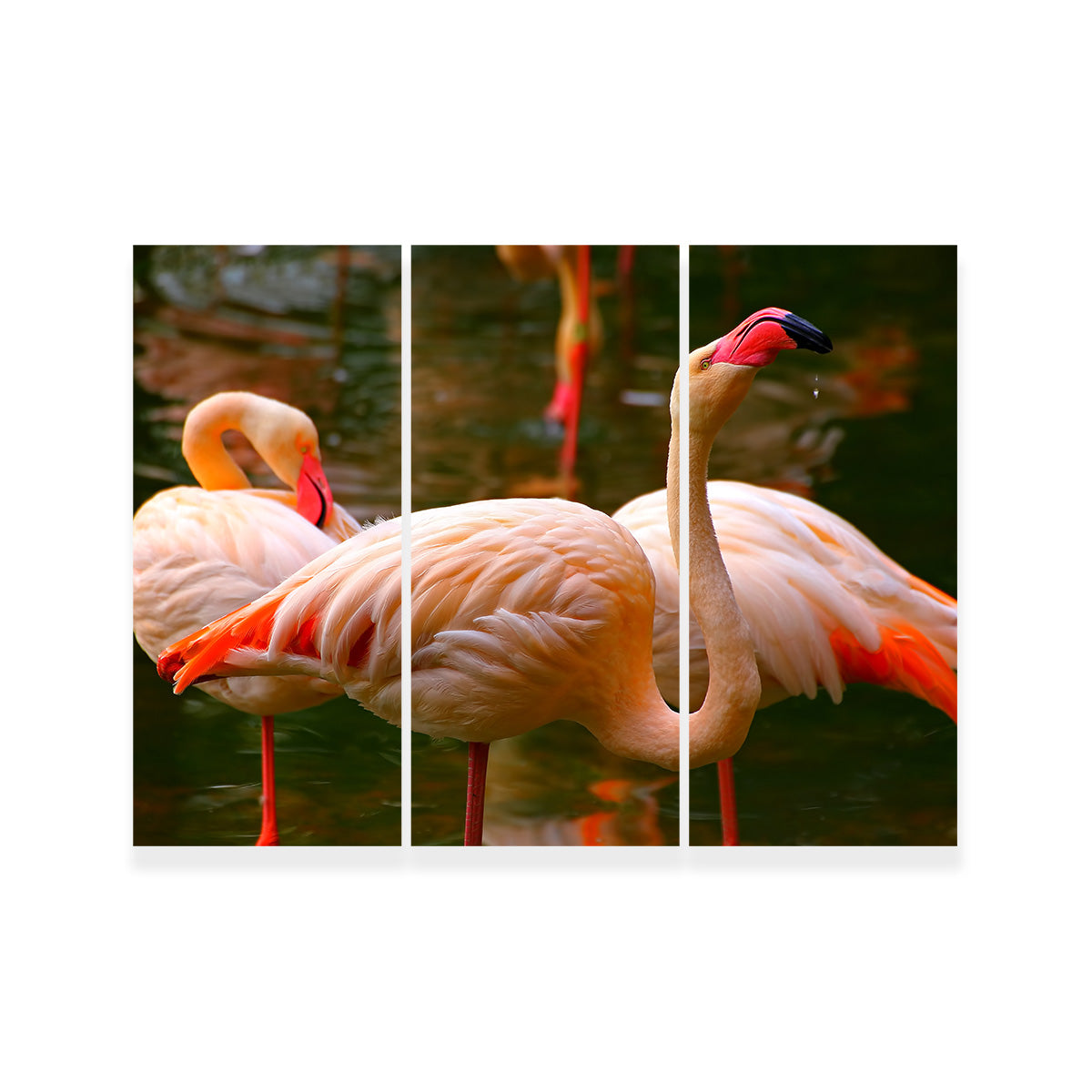 Stunning Pink Flamingo Birds Wall Art for Your Home Decor