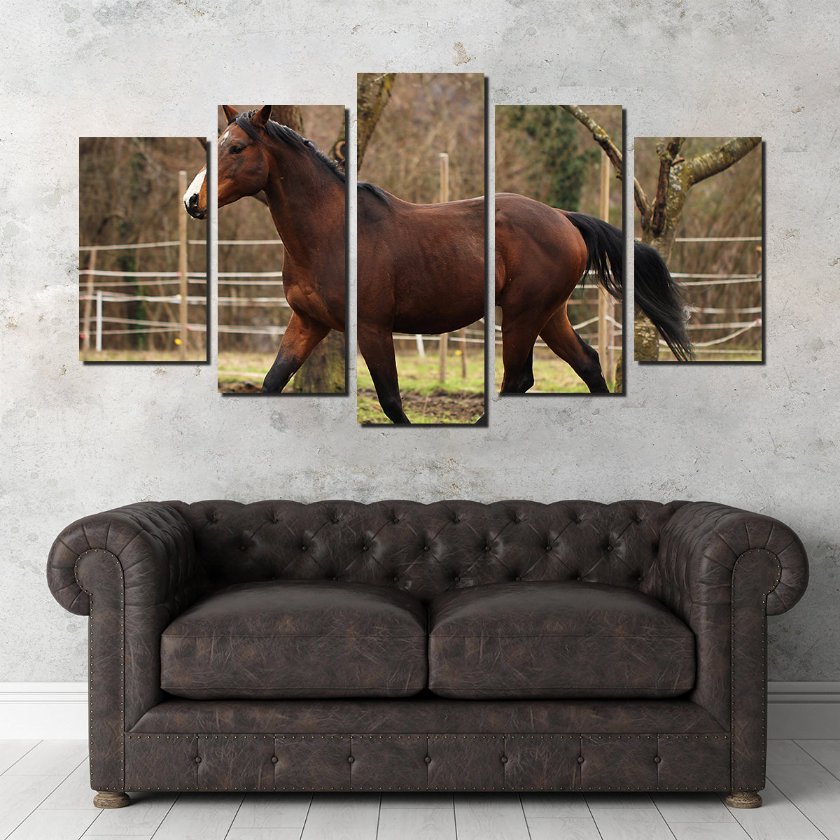 Exquisite American Quarter Horse Stallion Wall Art for Your Home Decor