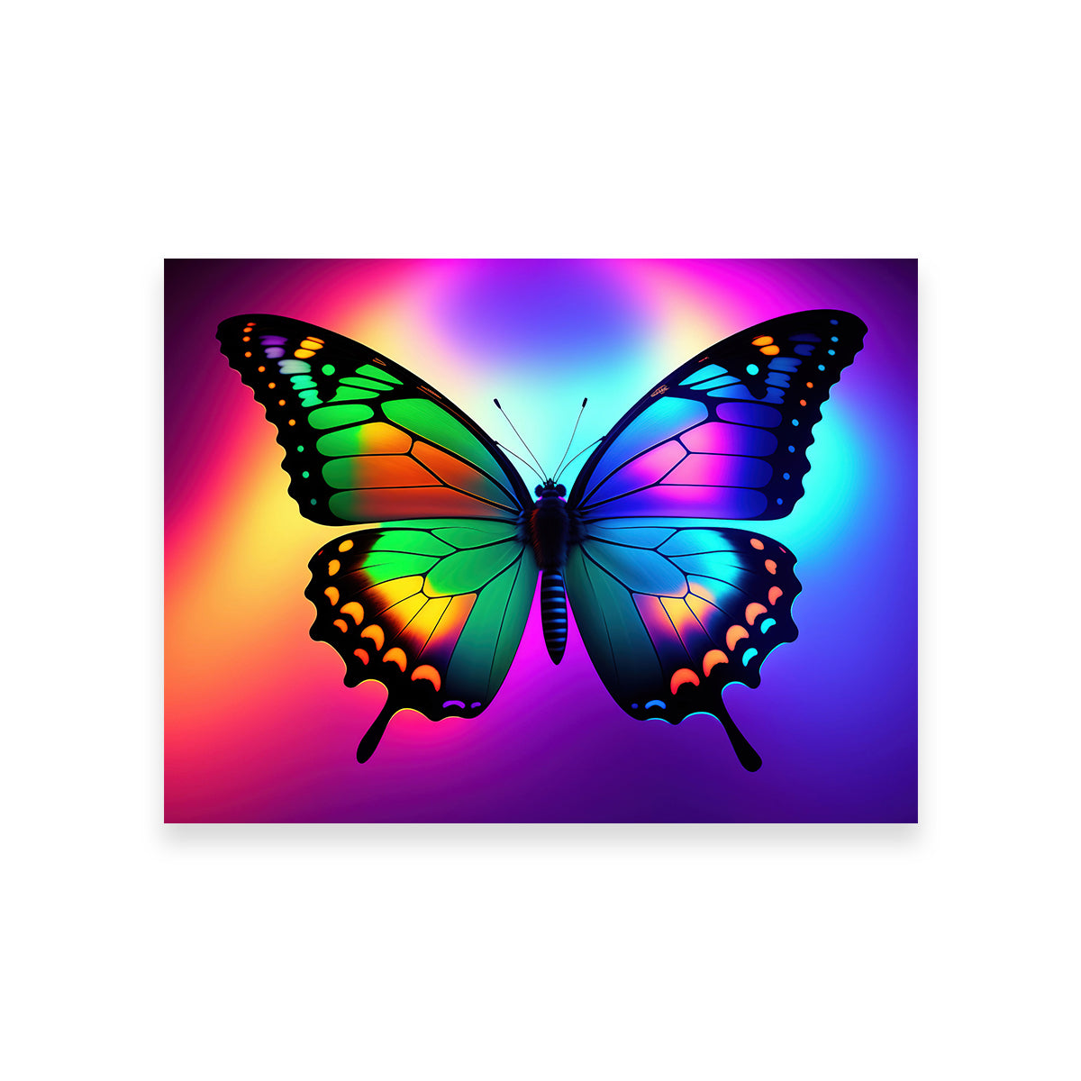 Eye - catching Neon Butterfly Wall Art by Stephen Chambers
