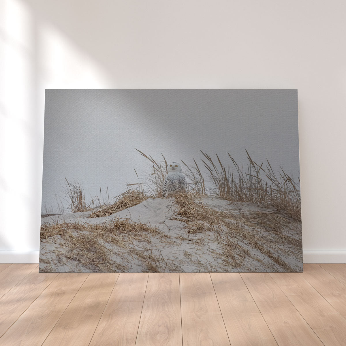 Exquisite Snowy Owl Wall Art by Dennis Maida