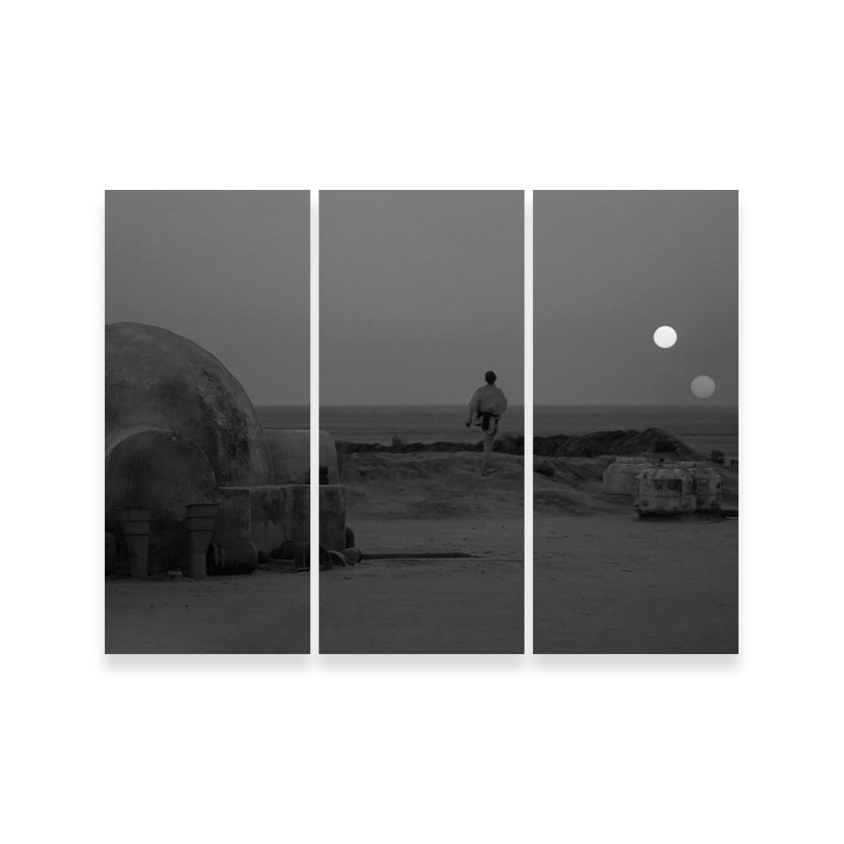 Stunning Binary Star Wars Sunset Grayscale Wall Art for Your Home Decor