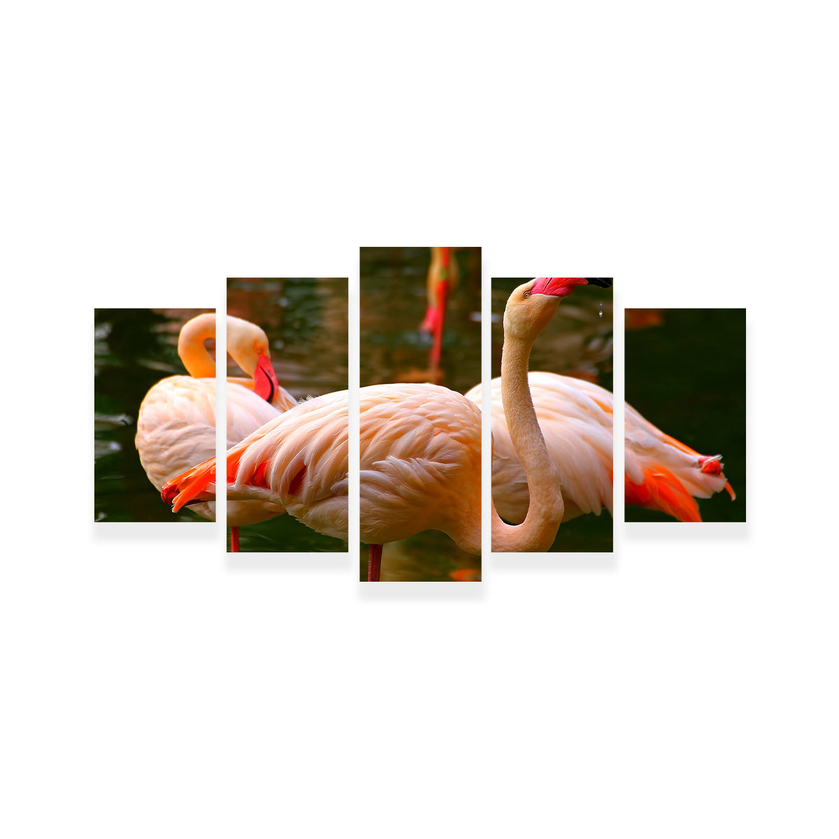Stunning Pink Flamingo Birds Wall Art for Your Home Decor
