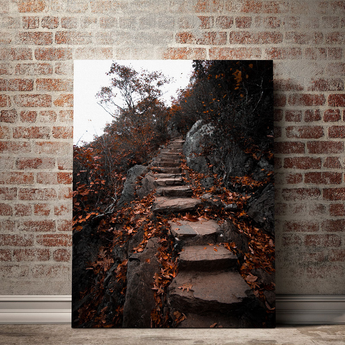 Stunning Autumn Path Wall Art by Lucas Moore