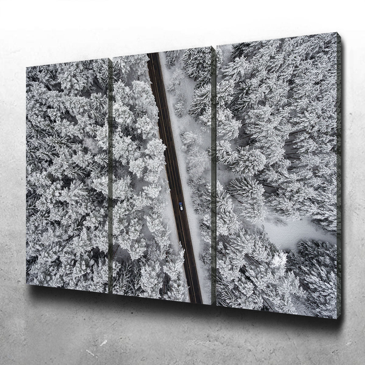 Exquisite Snowy Road Wall Art by Karolis Janulis