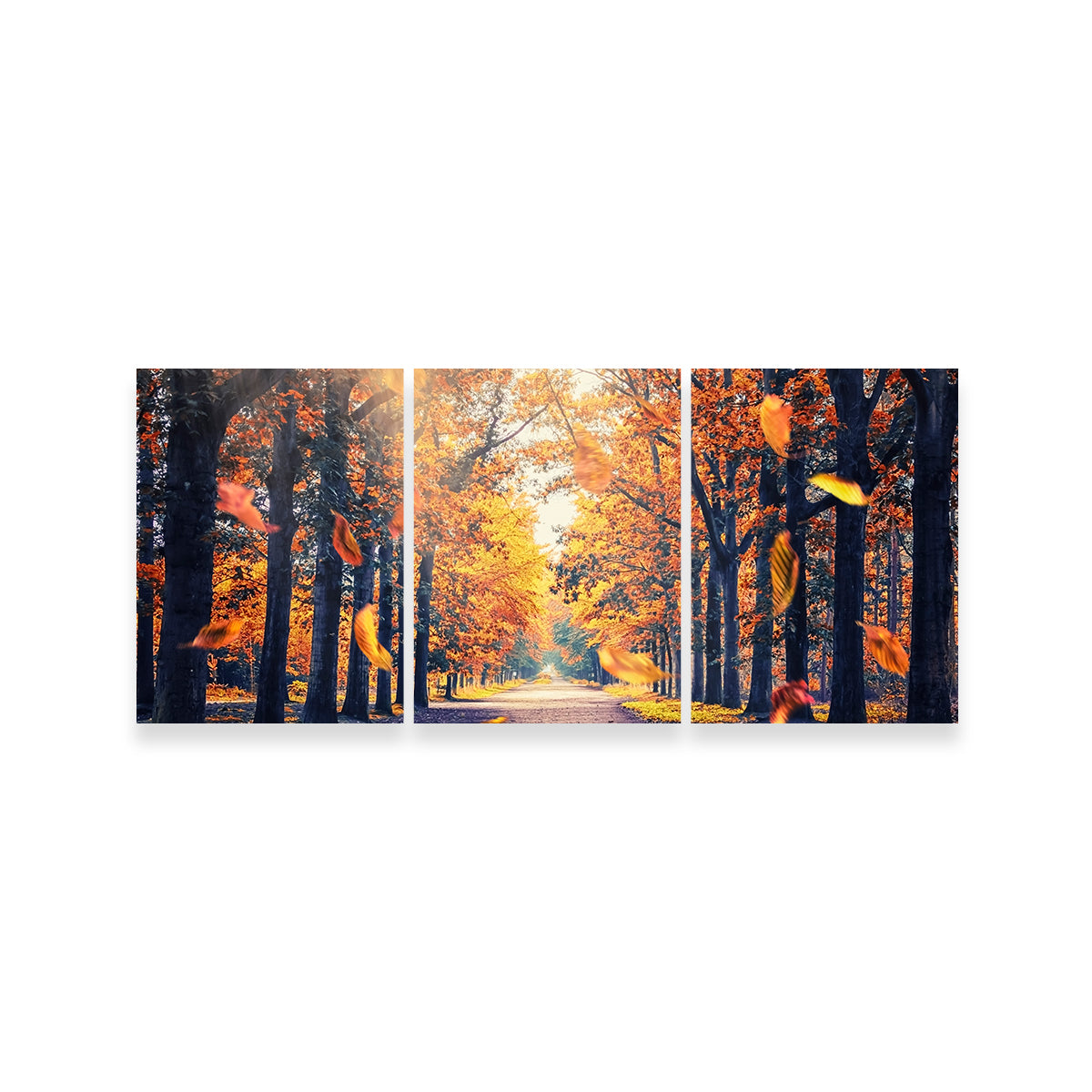 Autumn in Holland Stunning Wall Art for Home Decor