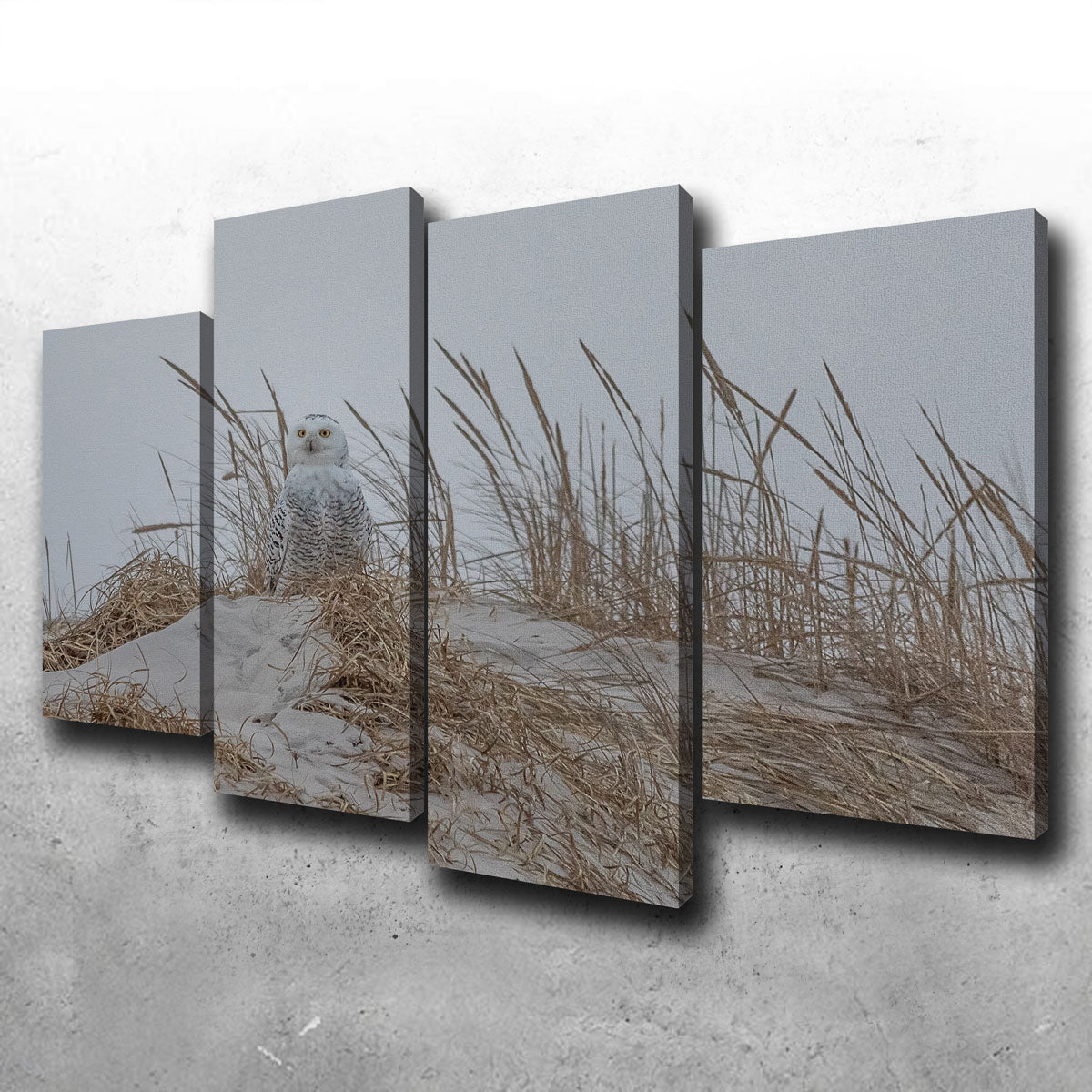 Exquisite Snowy Owl Wall Art by Dennis Maida