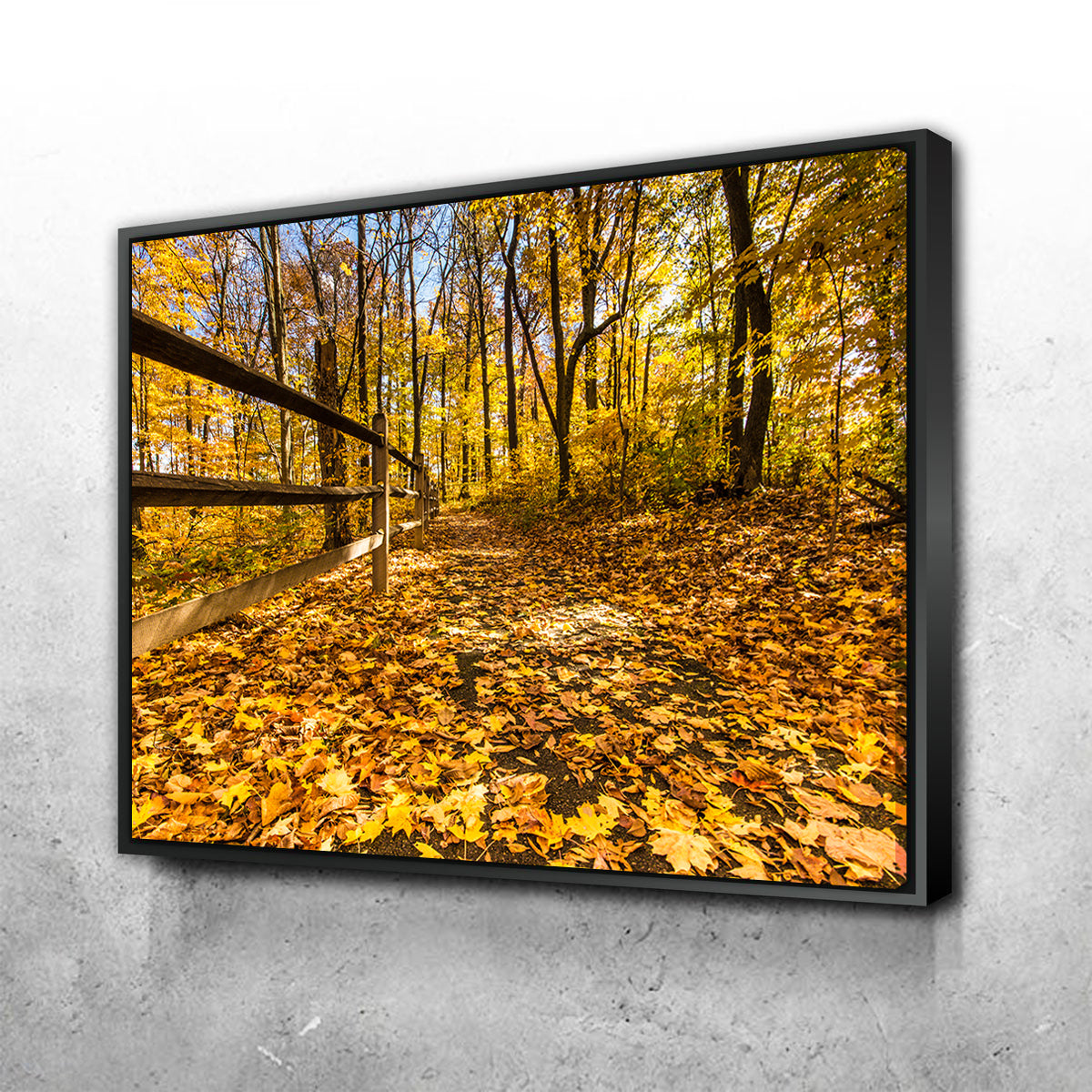 Breathtaking Caesar Creek State Park Fall Foliage Wall Art for Stunning Home Decor