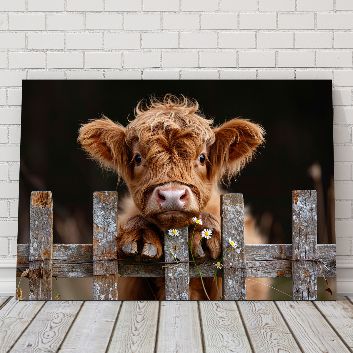Gorgeous Highland Baby Calf Wall Art for Stunning Home Decor
