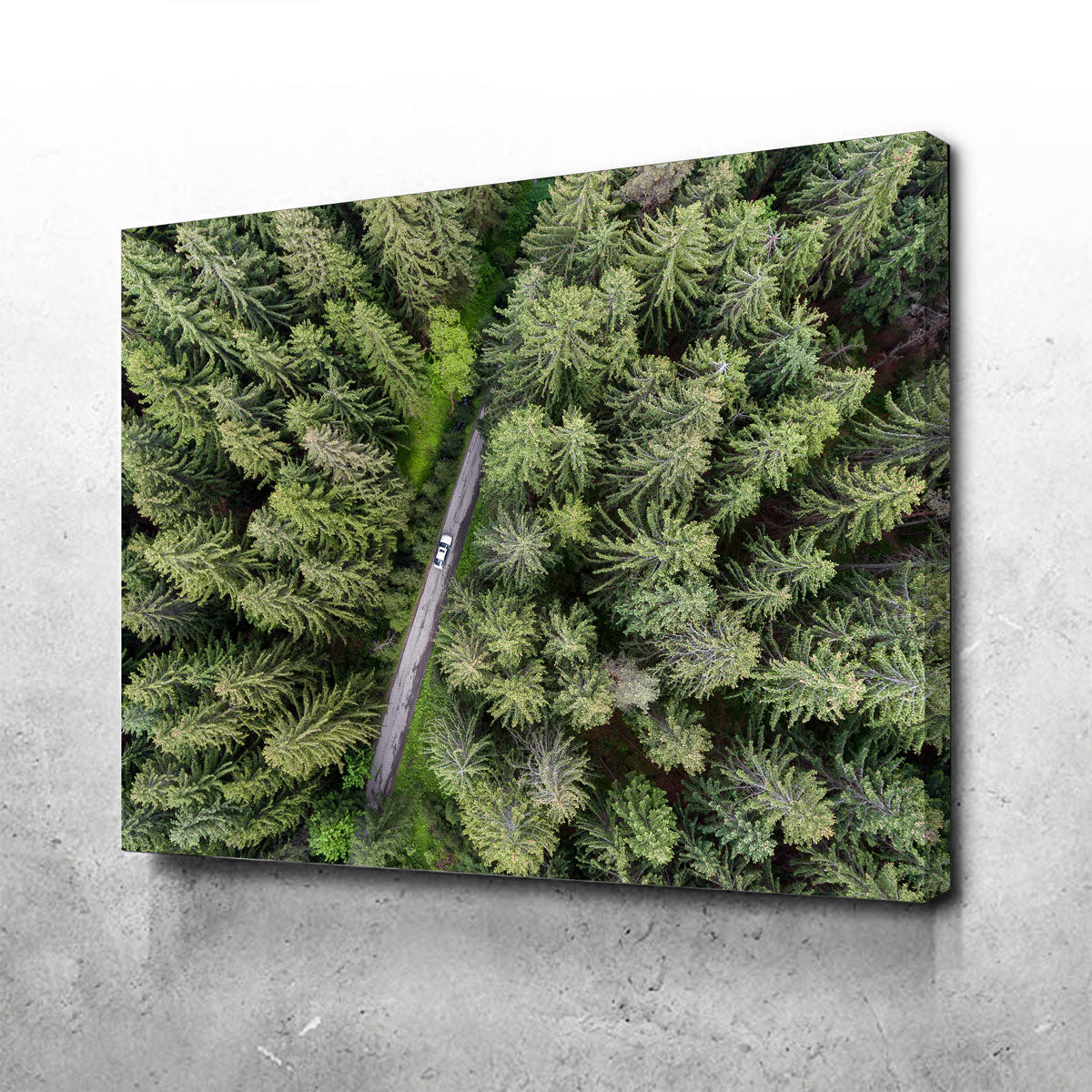 Stunning Hidden Road Wall Art by Karolis Janulis