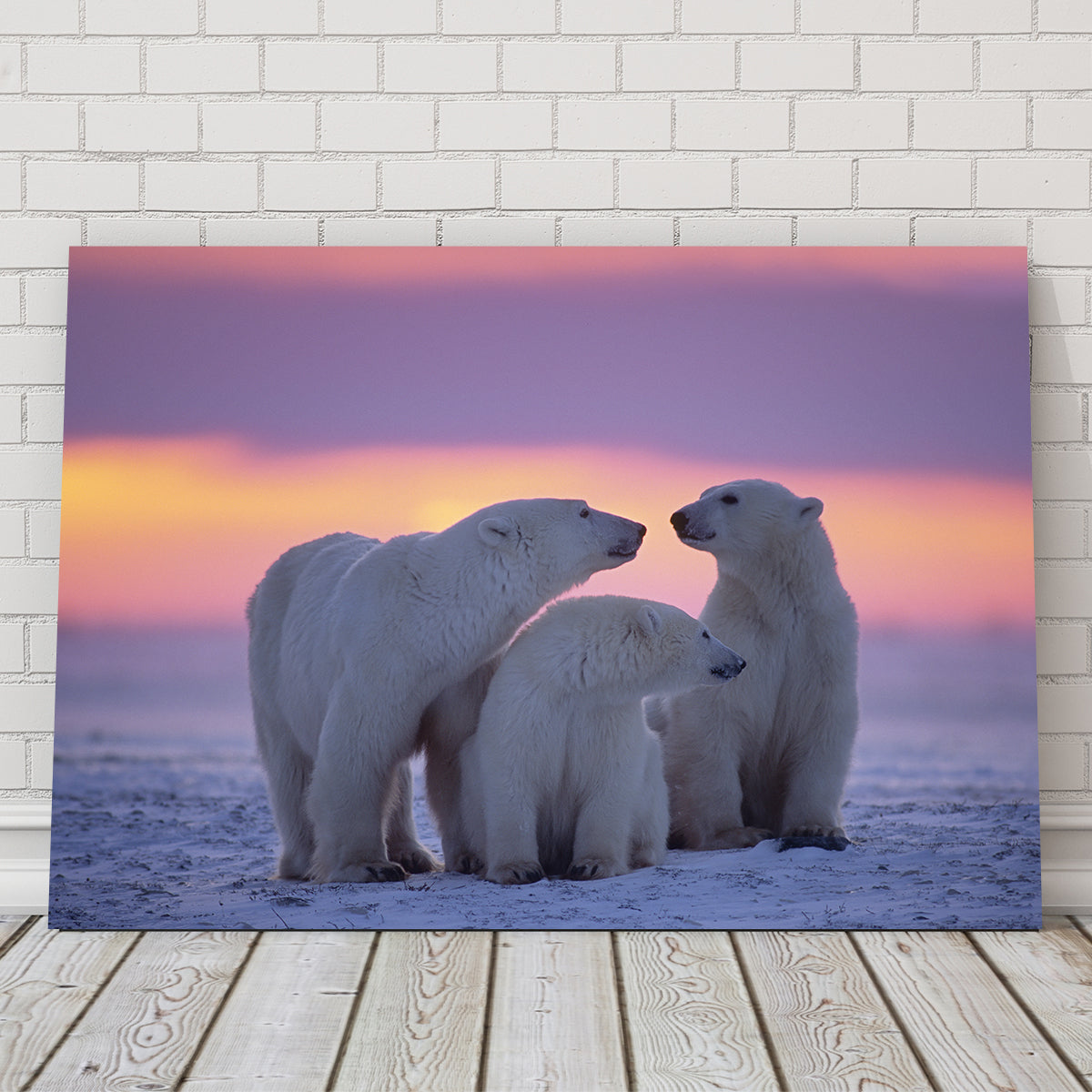 Stunning Polar Bear Family - Canadian Arctic Wall Art for Your Home Decor