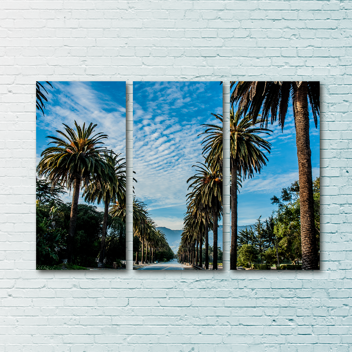 Hope Ranch Palm Drive Exquisite Wall Art by Kyle Sherry