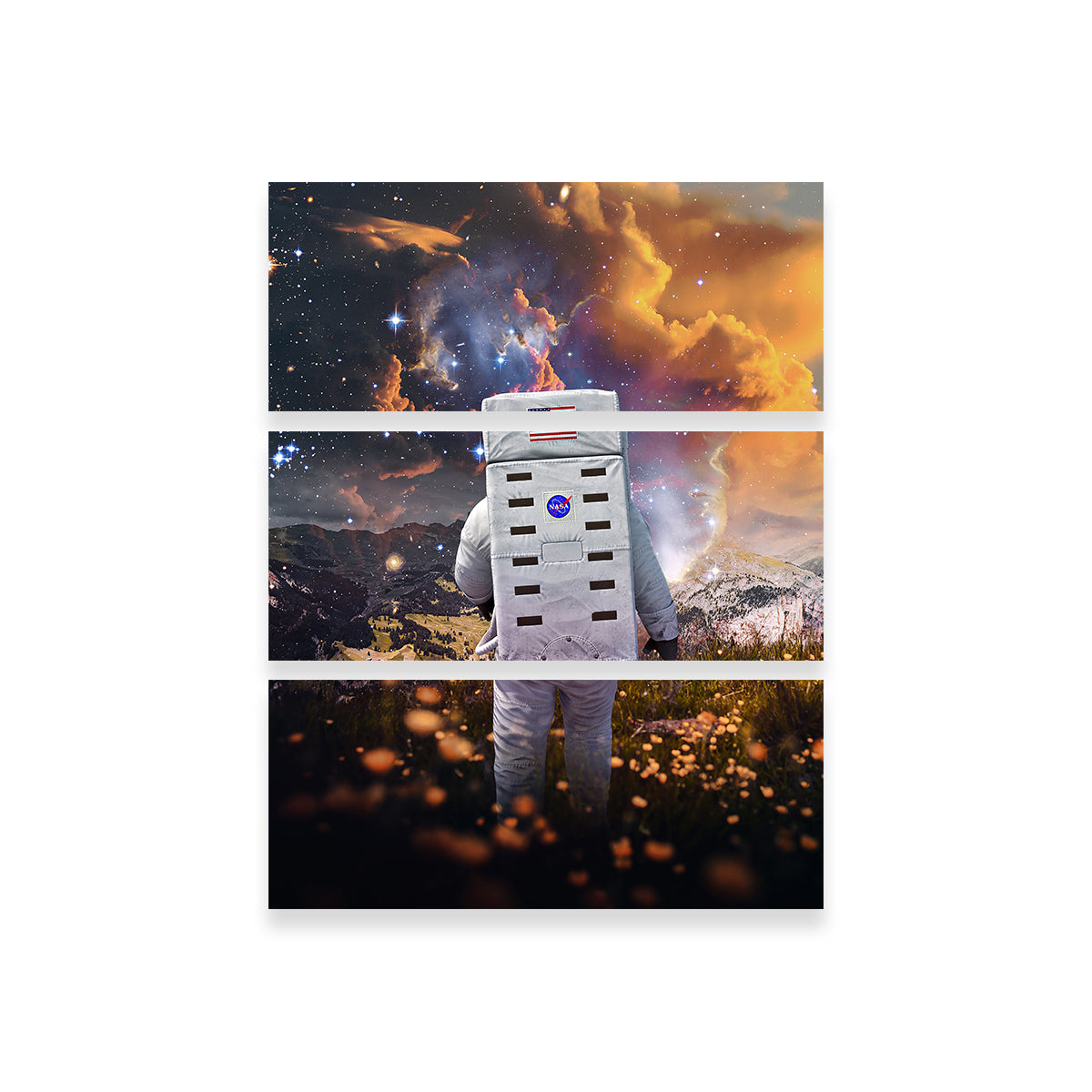 Stunning Astro Flower Canvas Art for Striking Wall Decor