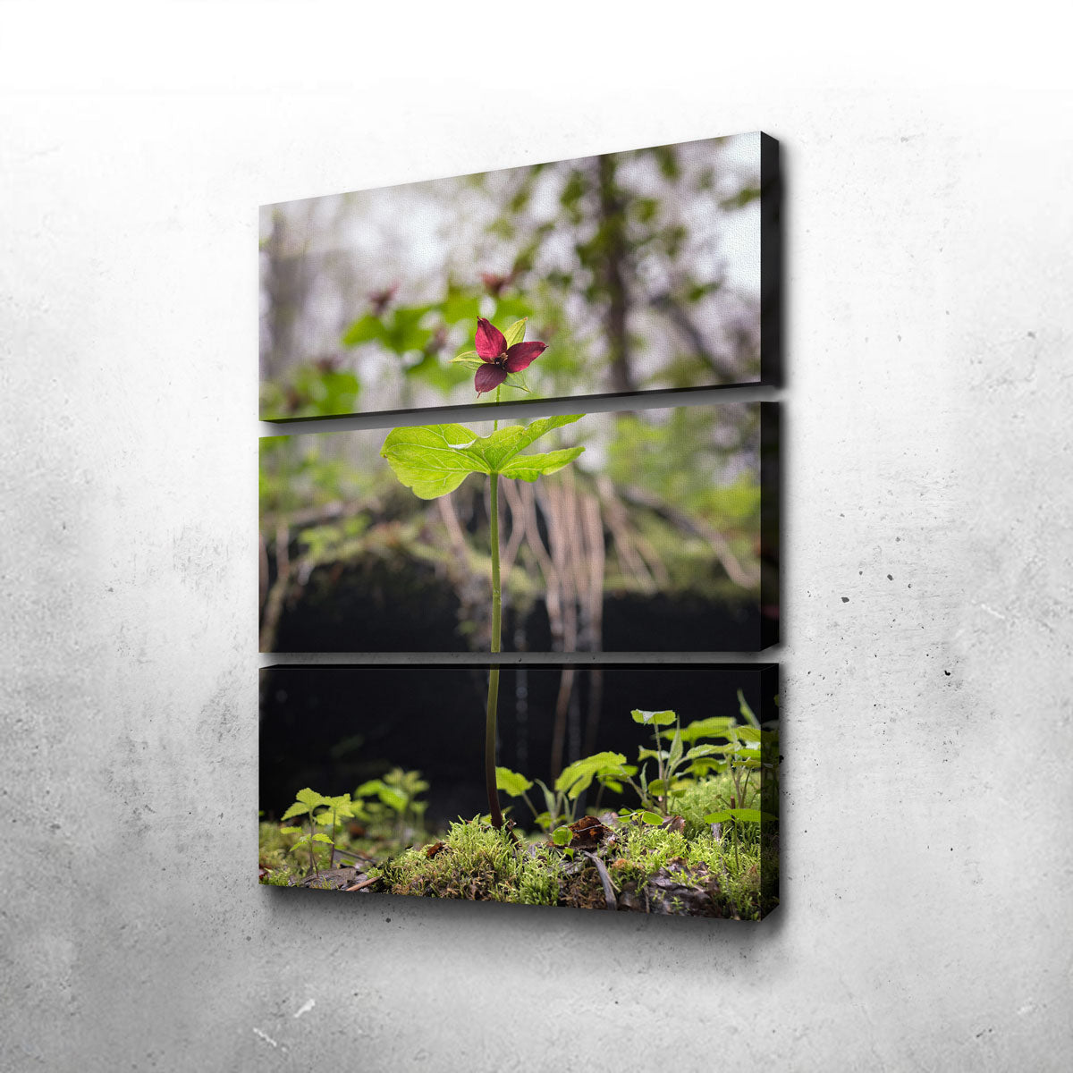 Exquisite Simple Scene Wall Art by Shaun Mayer